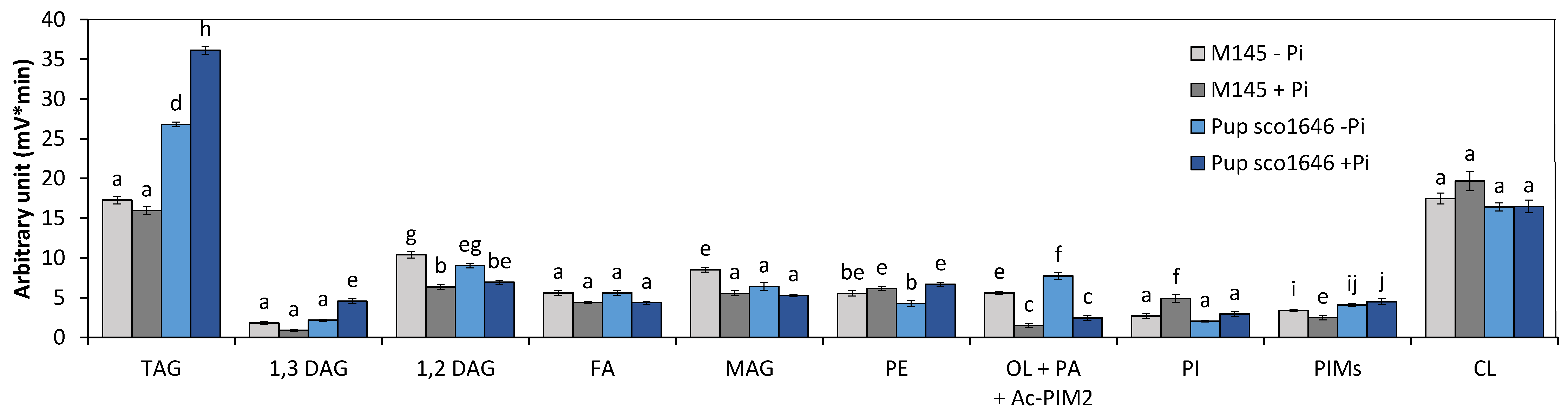 Microorganisms 12 01560 g002