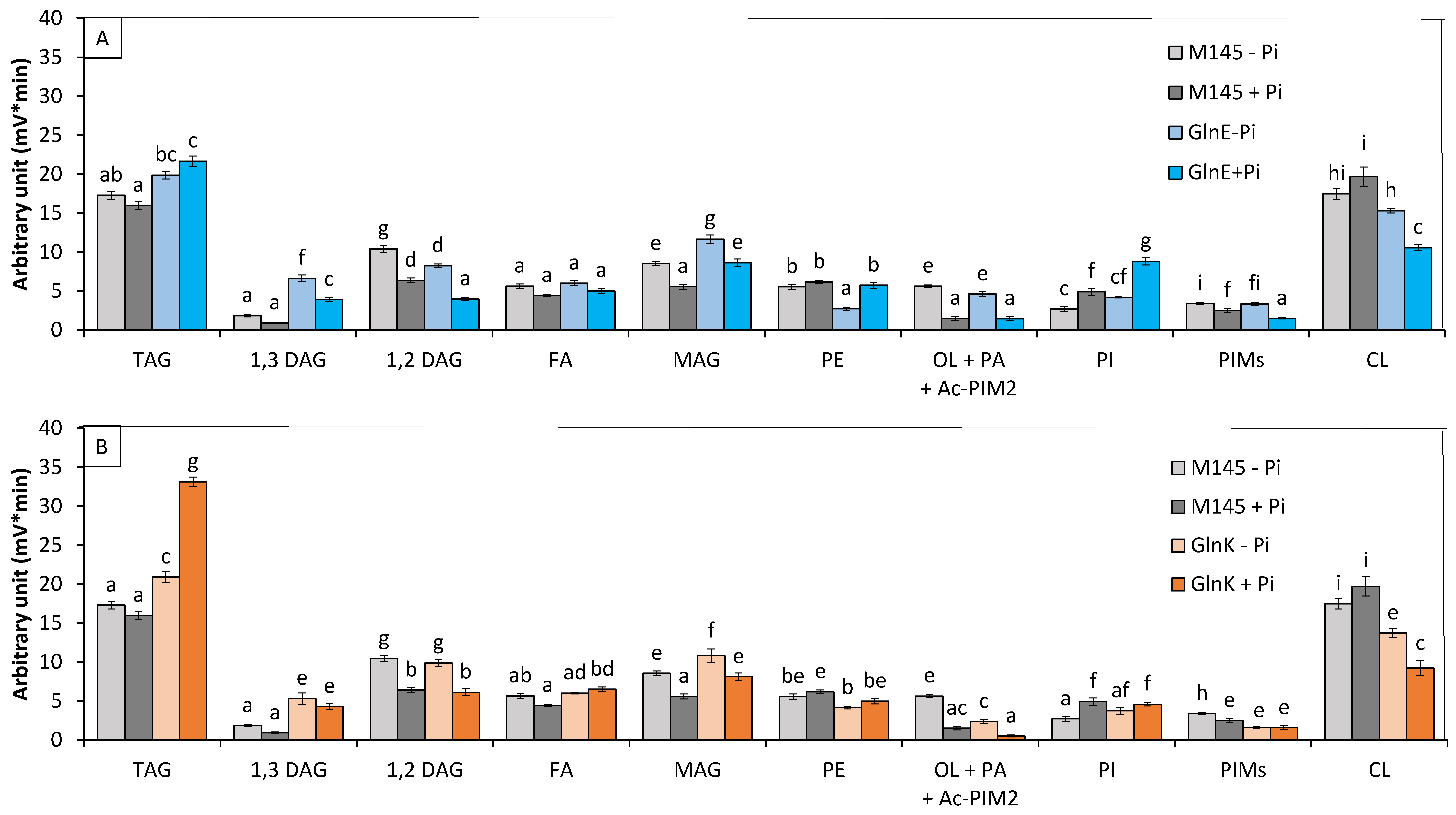 Microorganisms 12 01560 g004