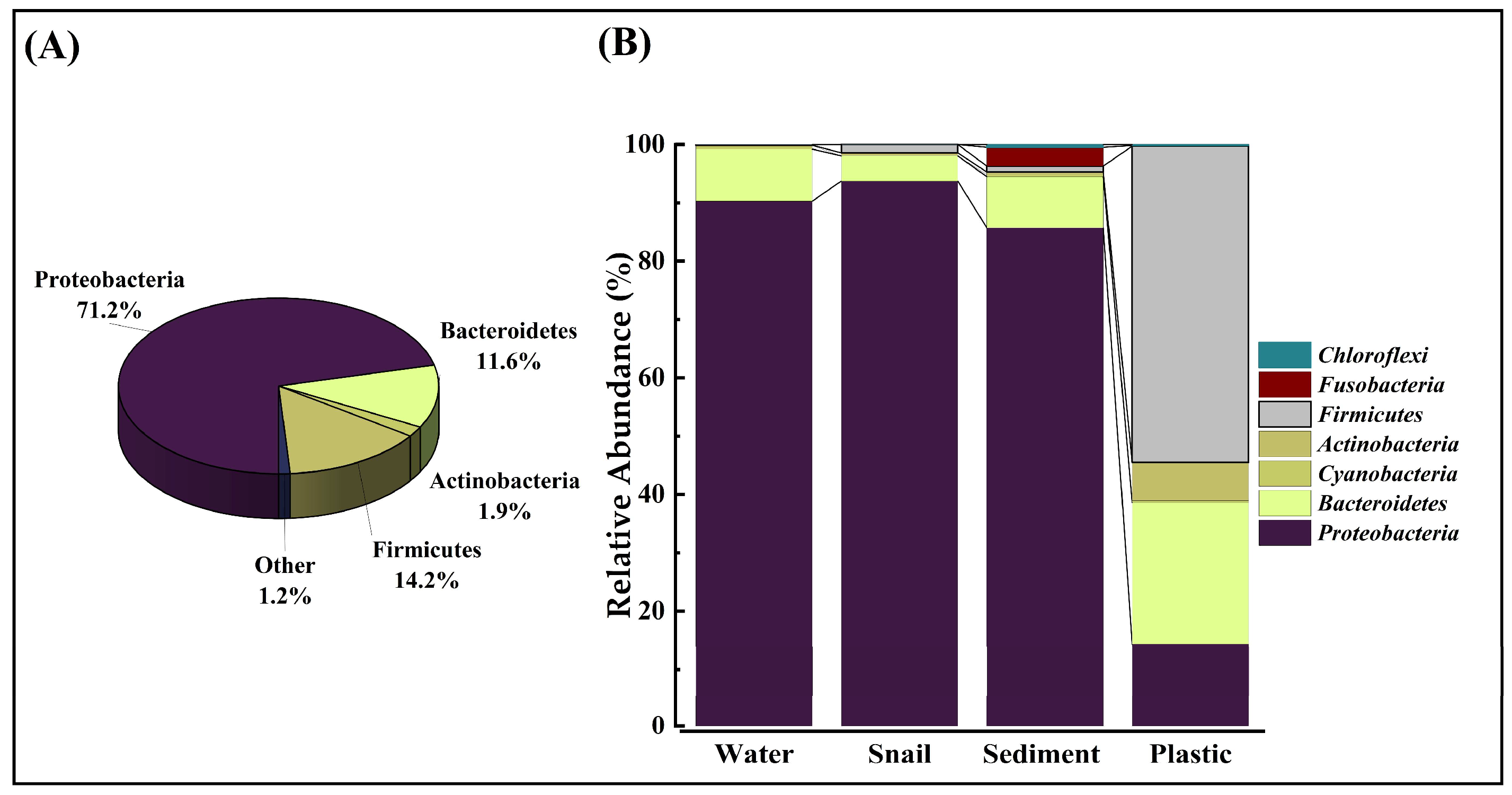 Microorganisms 12 01561 g003