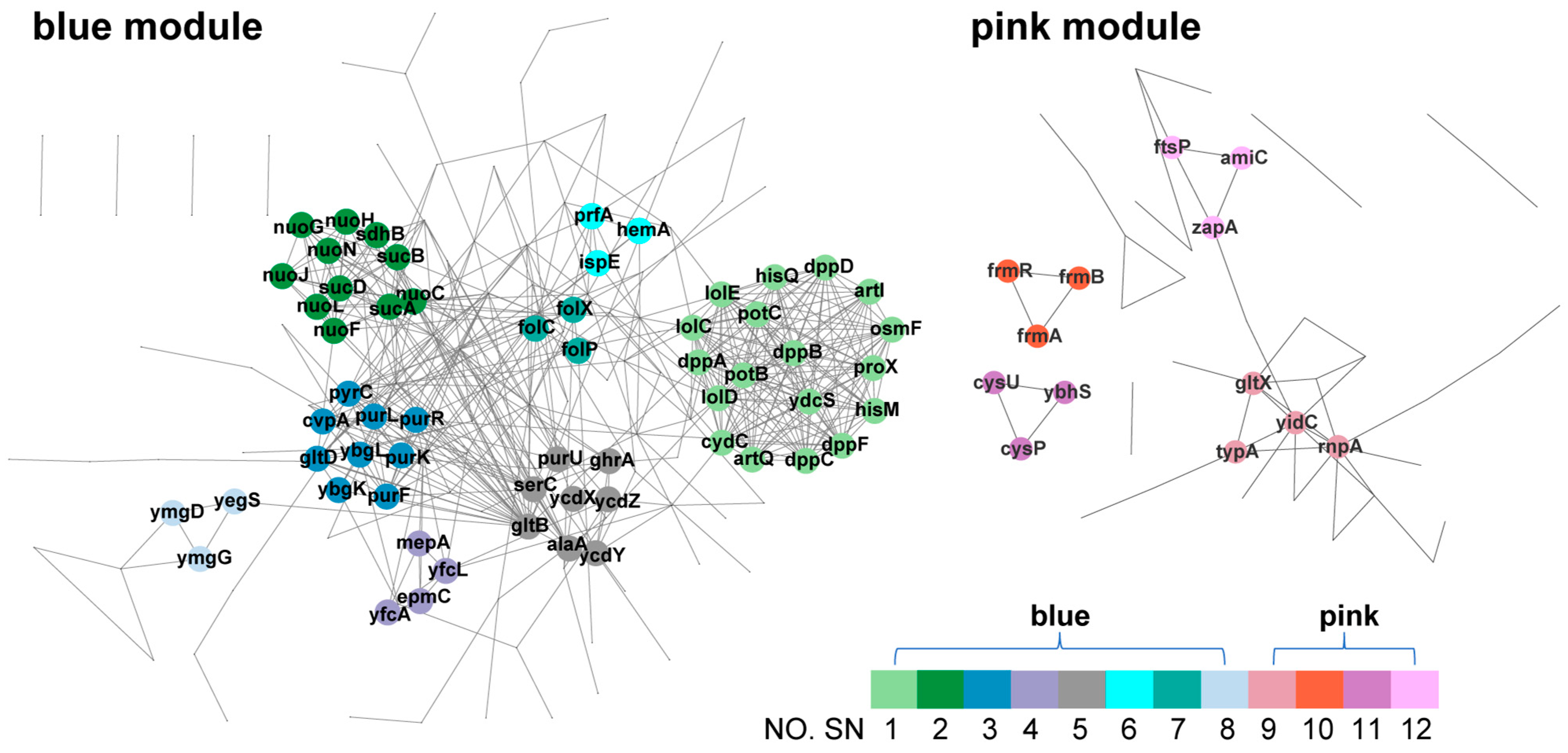 Microorganisms 12 01565 g005