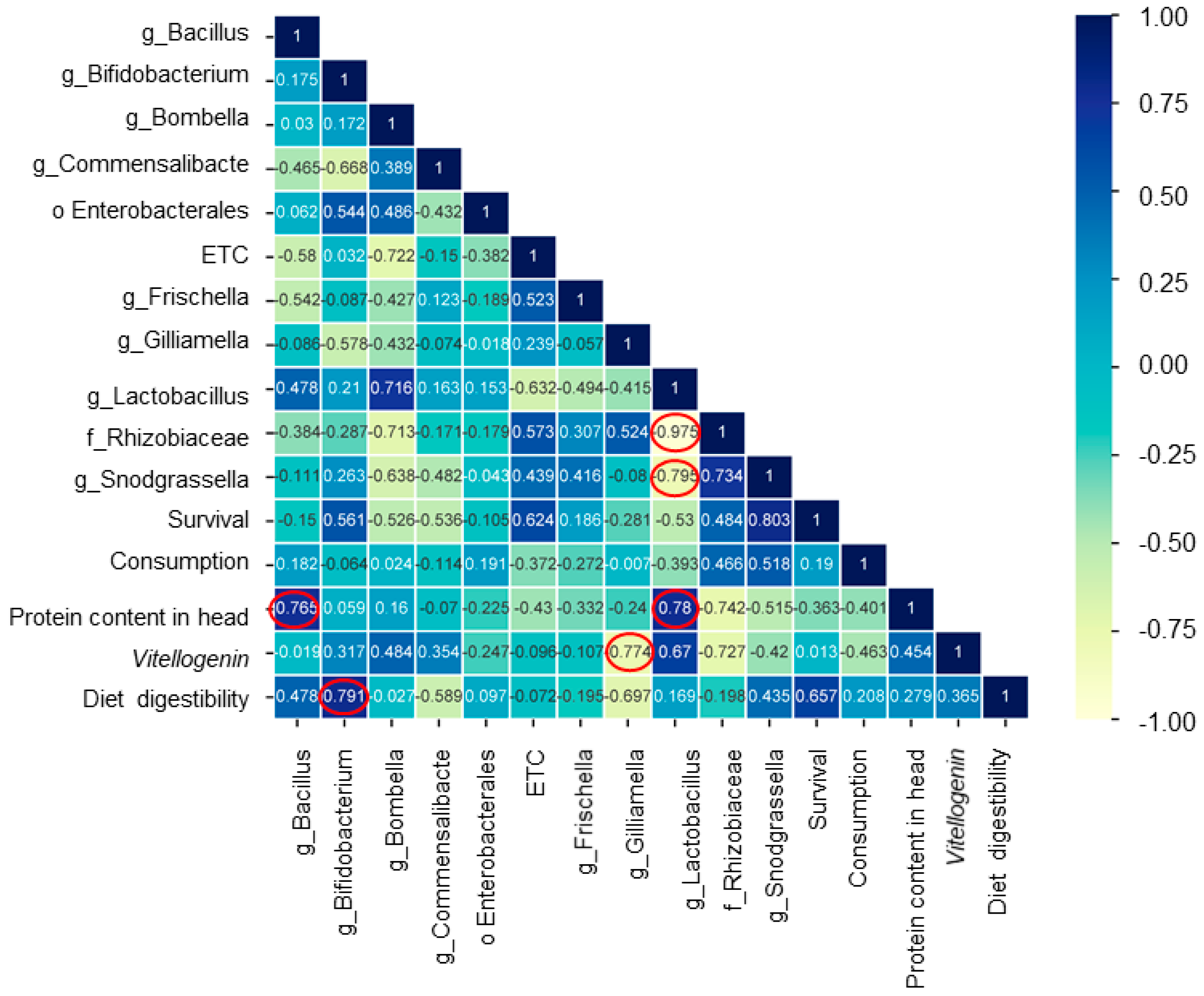 Microorganisms 12 01567 g009