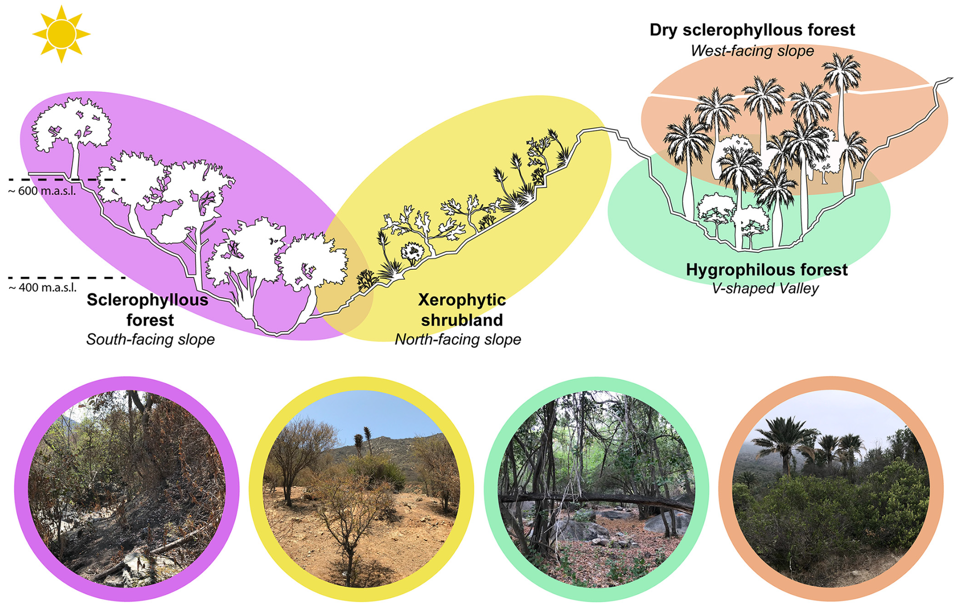 Microorganisms 12 01569 g002 Microorganisms 12 01569 g002