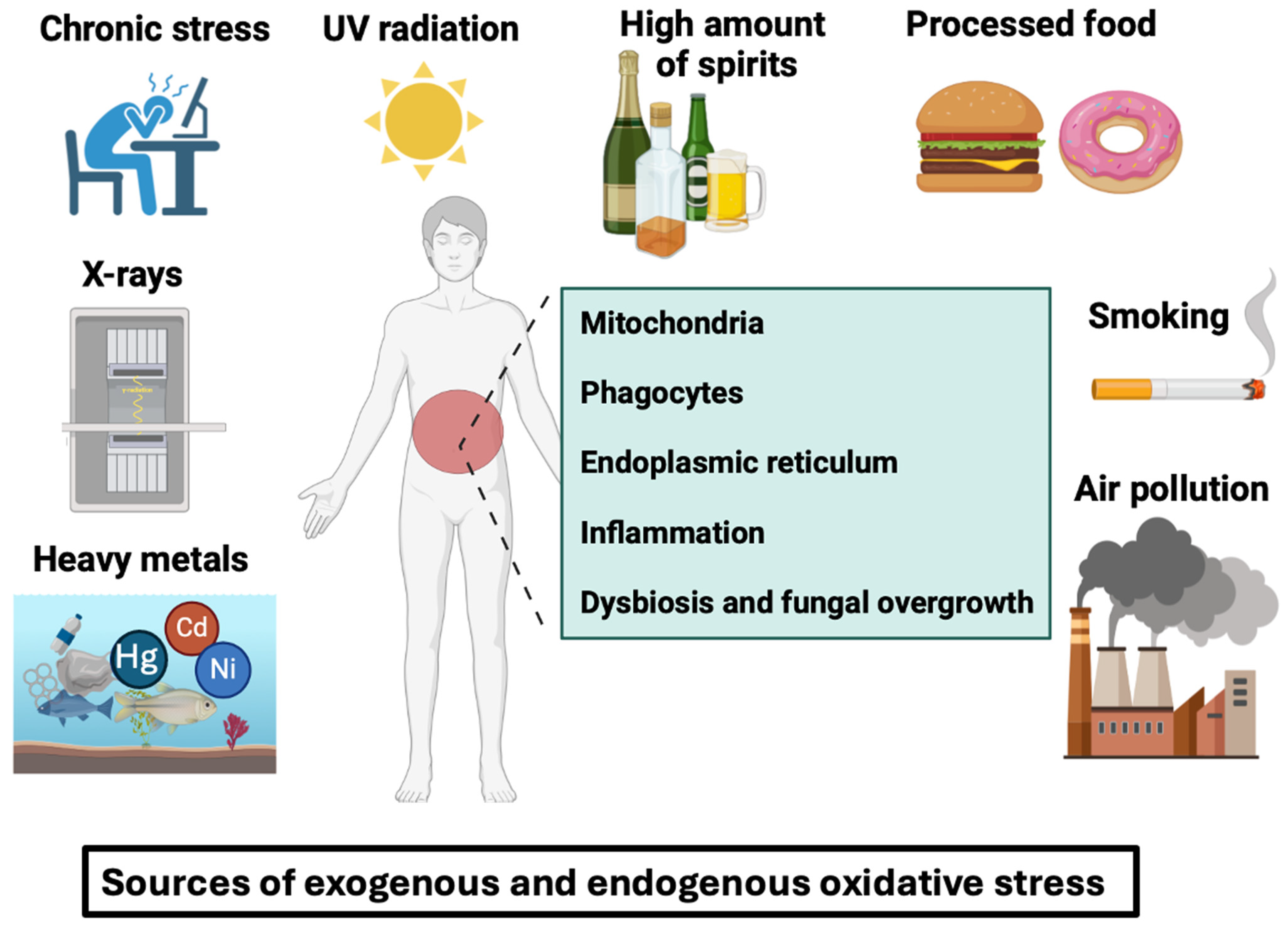 Microorganisms 12 01570 g001 Microorganisms 12 01570 g001