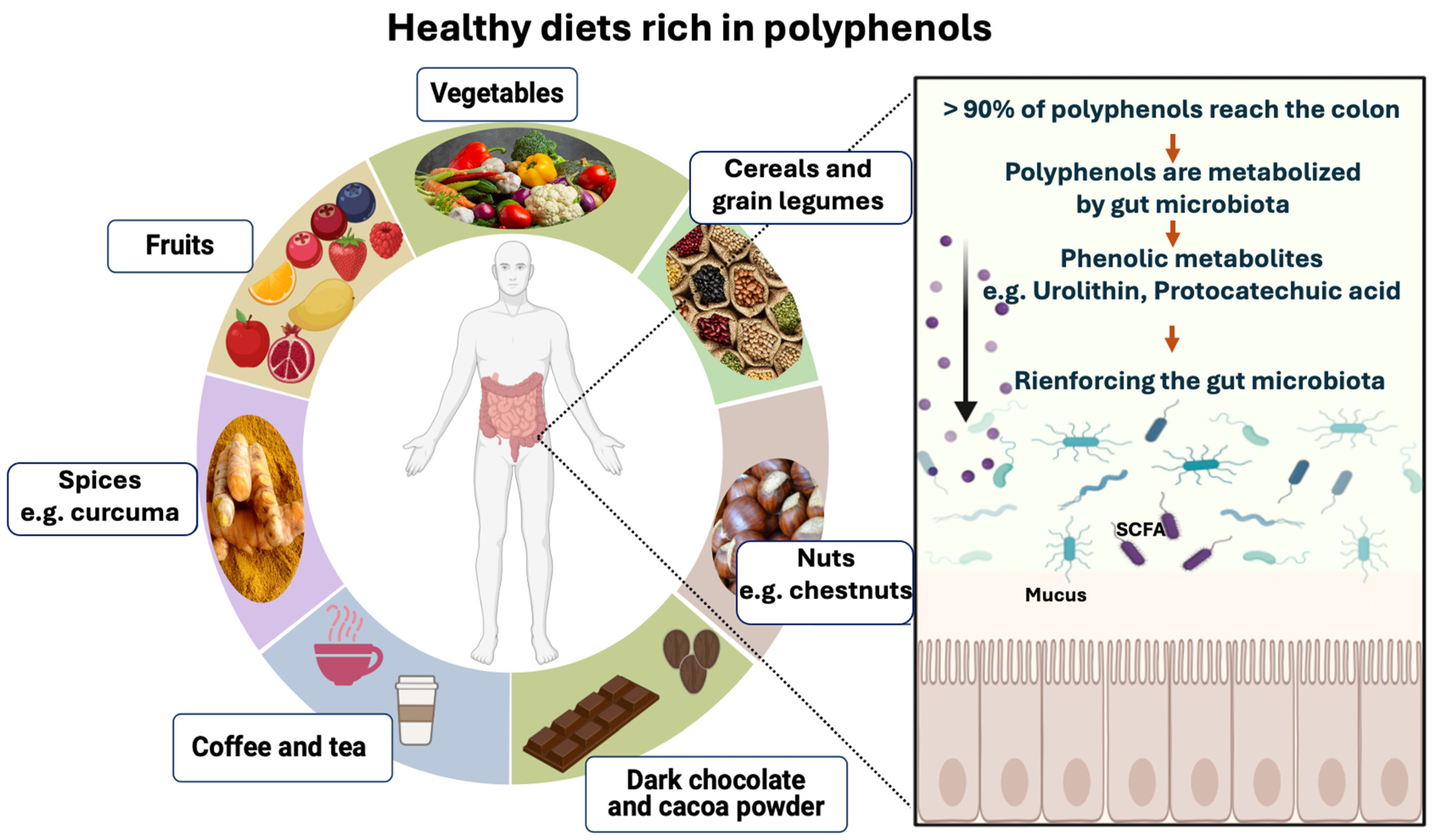 Microorganisms 12 01570 g004 Microorganisms 12 01570 g004