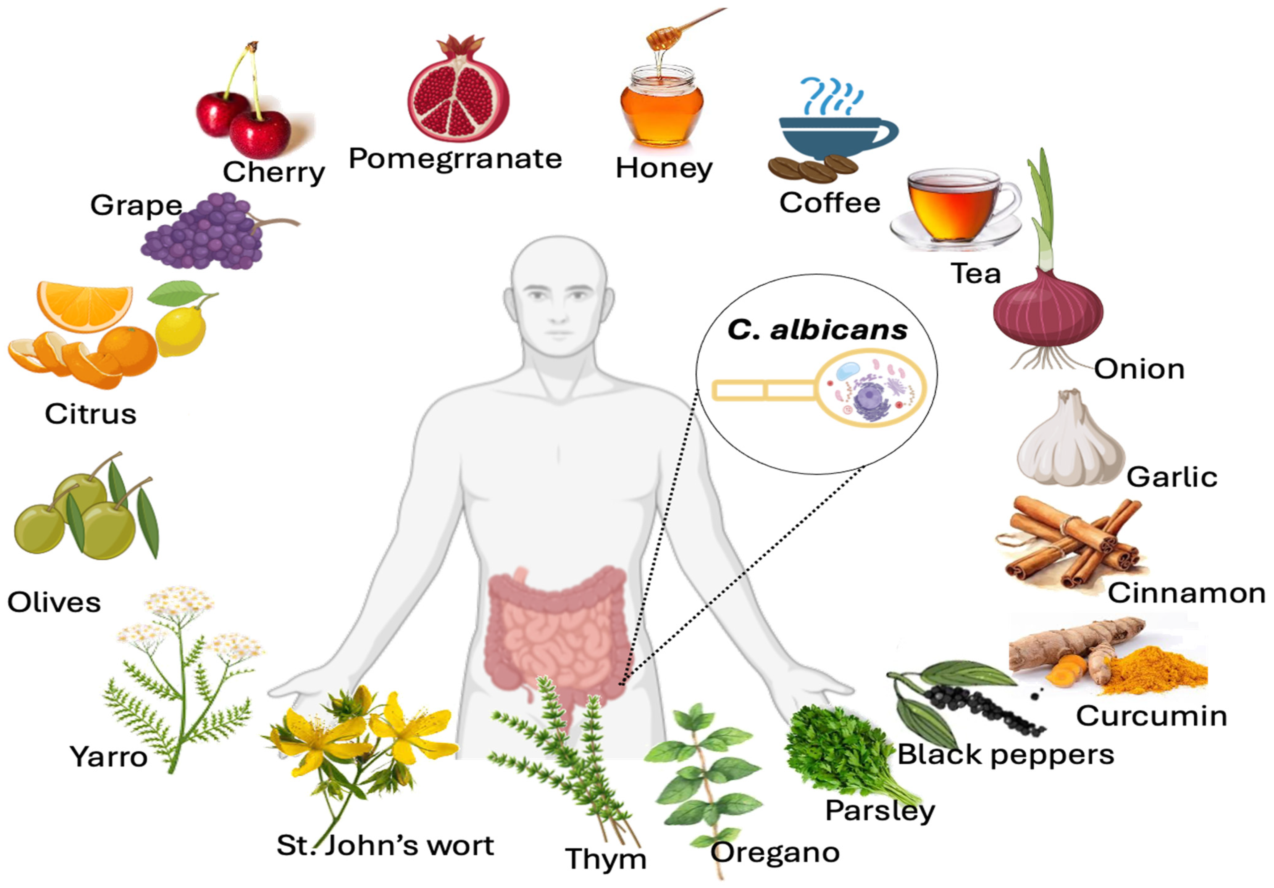 Microorganisms 12 01570 g006 Microorganisms 12 01570 g006