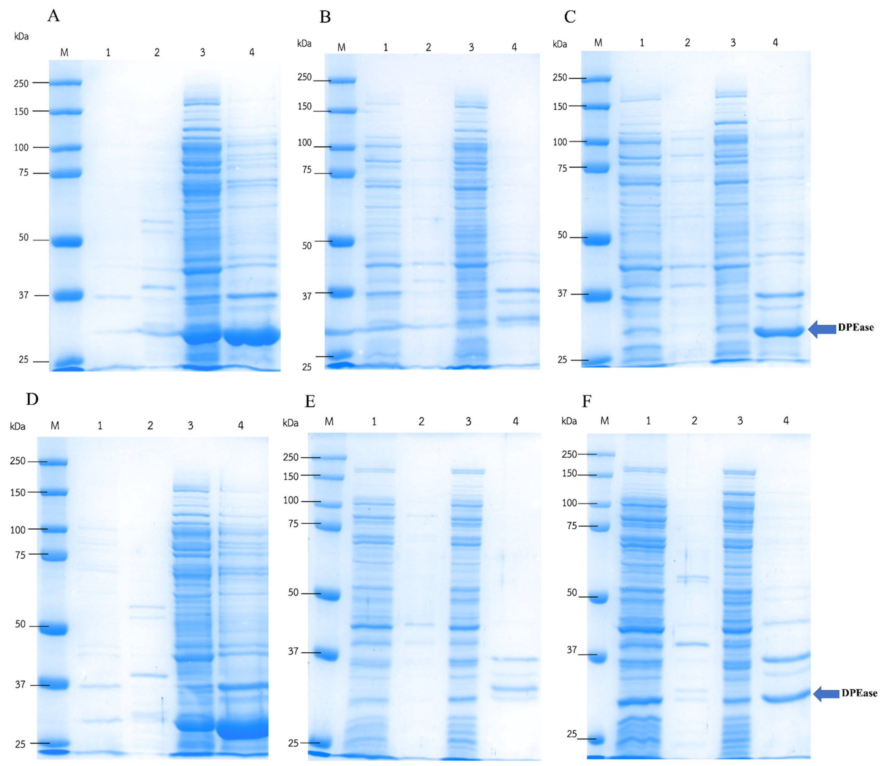 Microorganisms 12 01574 g002