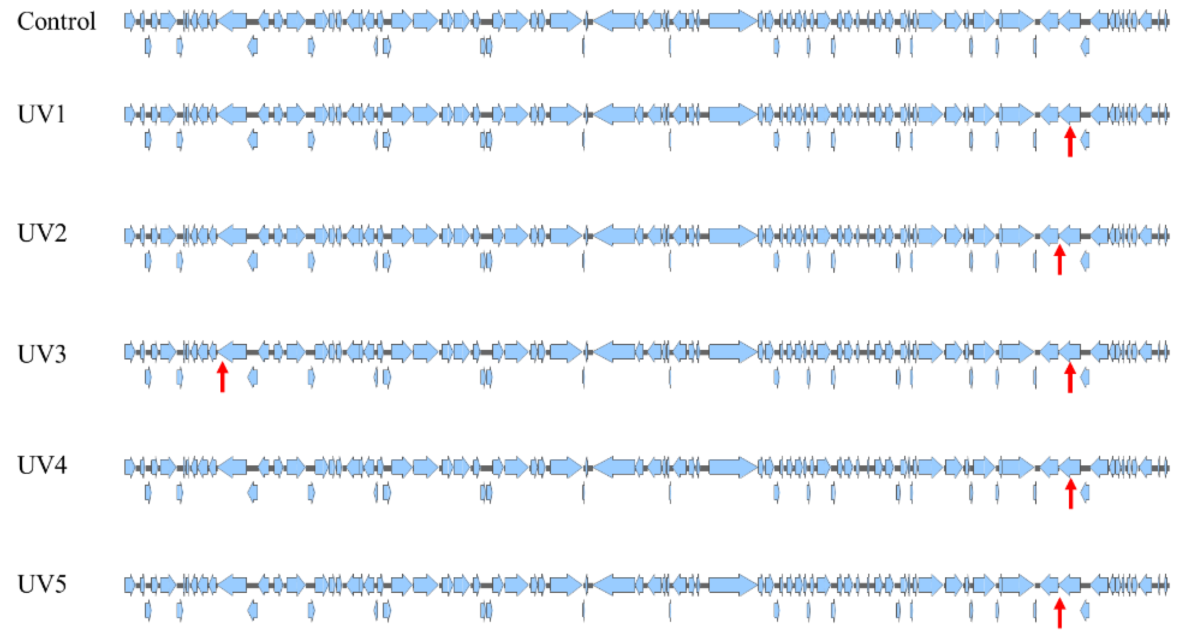 Microorganisms 12 01578 g006