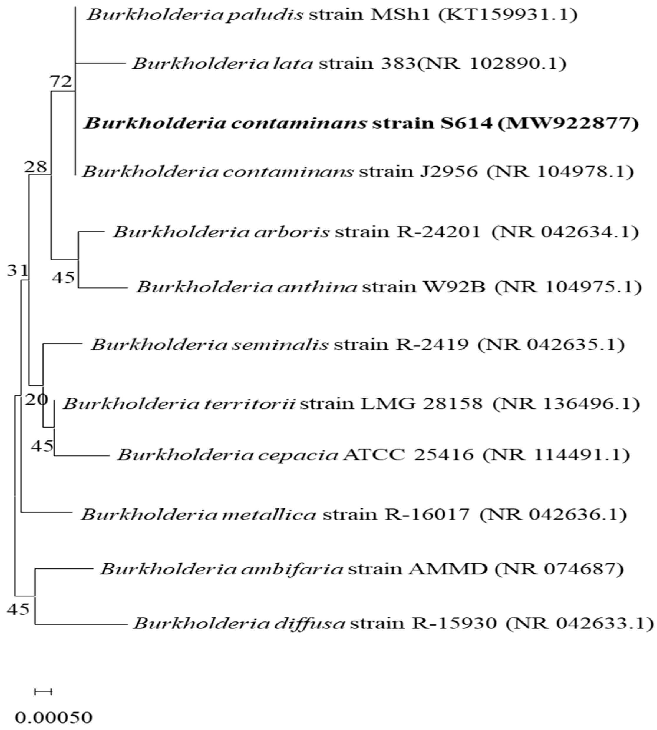 Microorganisms 12 01580 g001