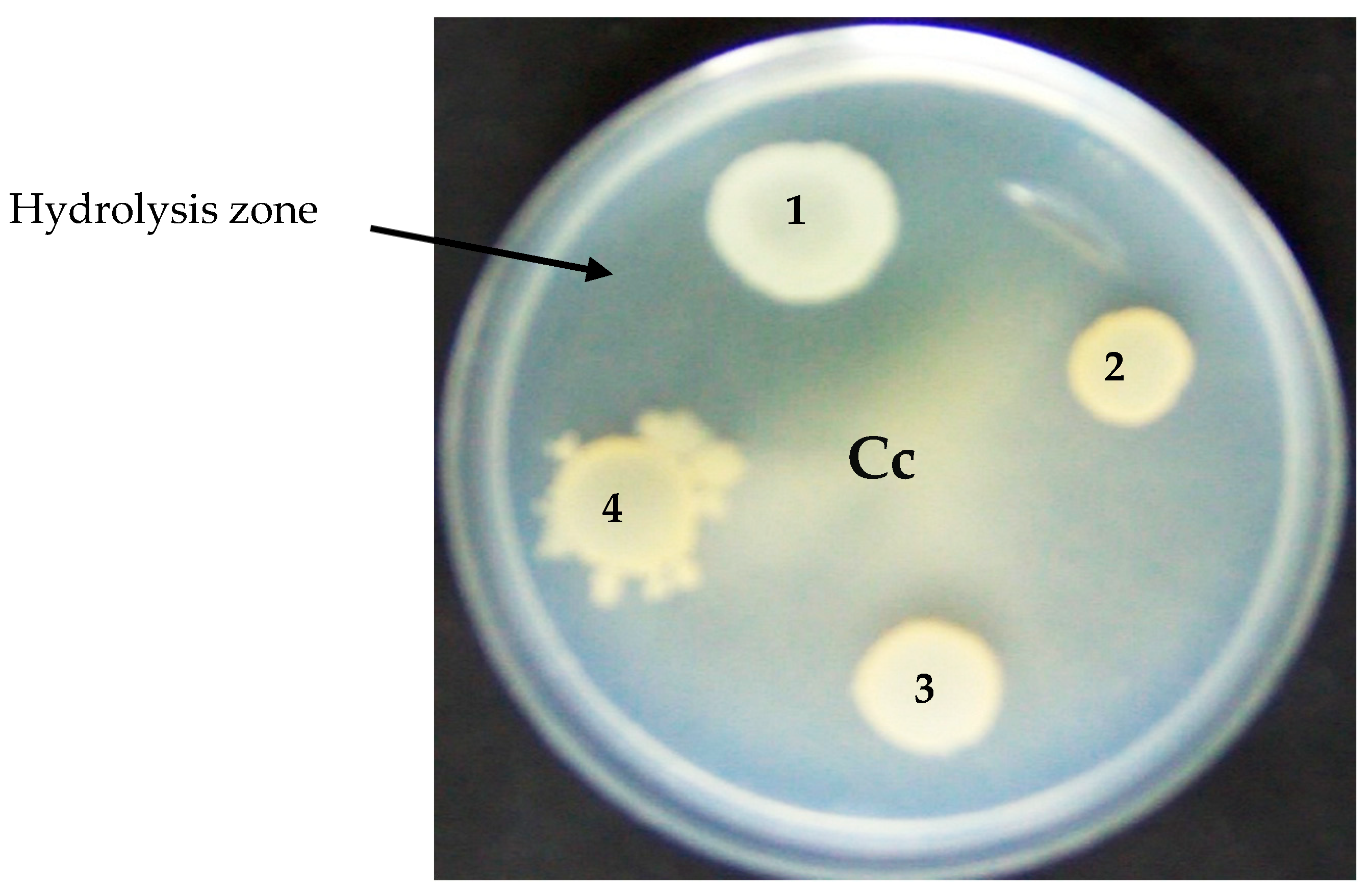 Microorganisms 12 01580 g002