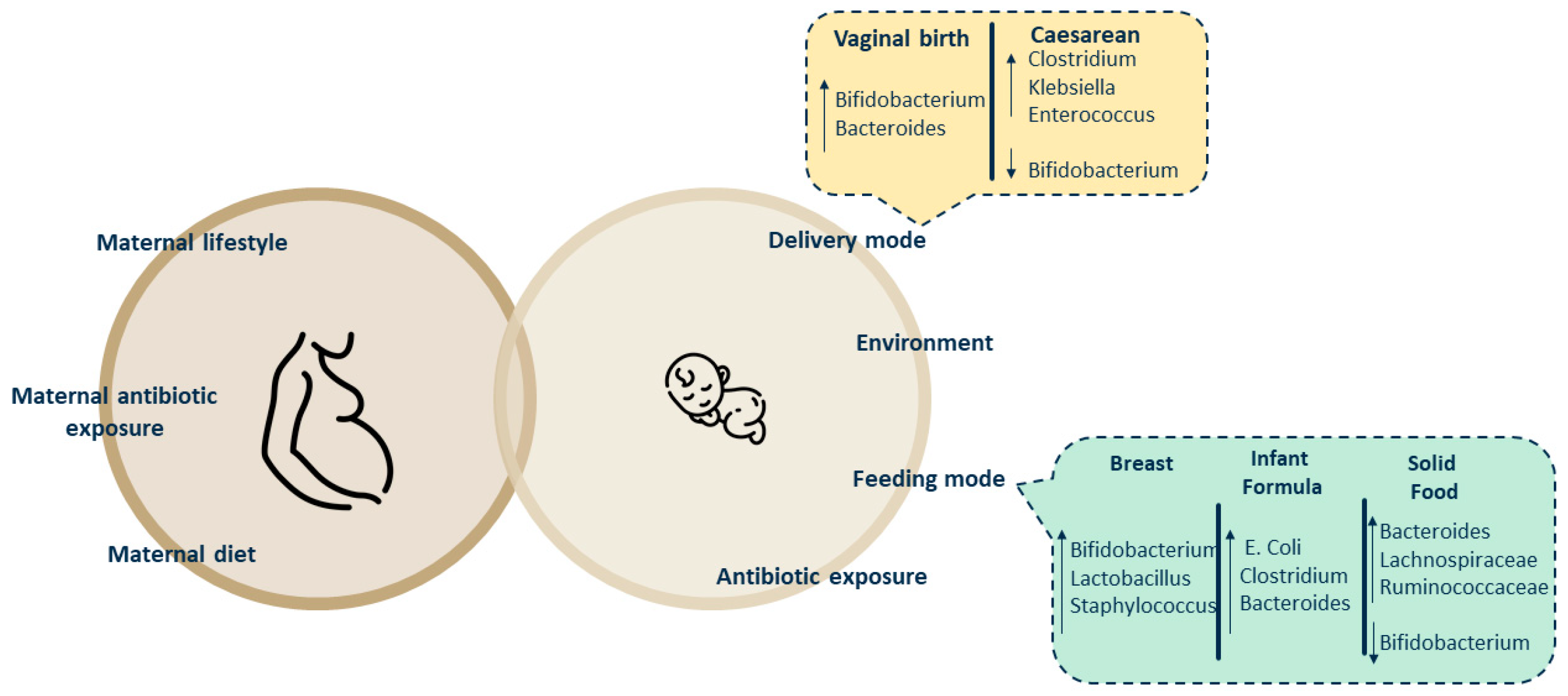 Microorganisms 12 01582 g002