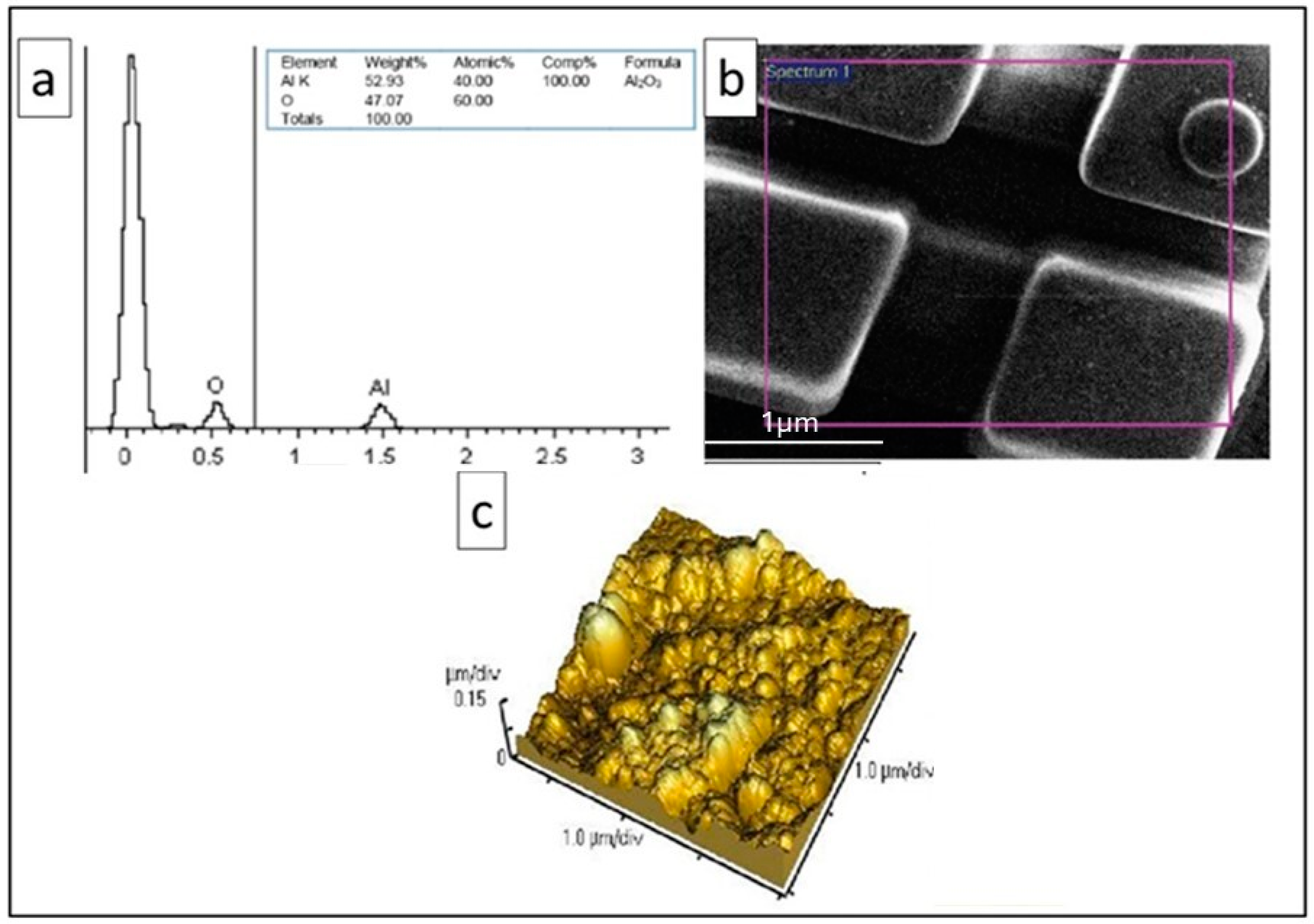 Microorganisms 12 01583 g001
