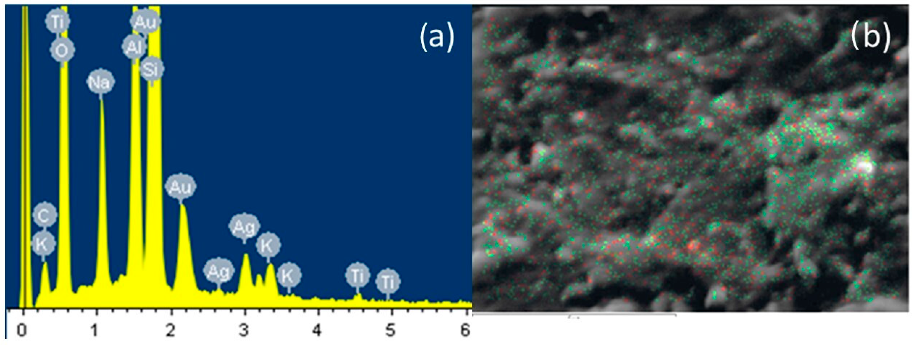 Microorganisms 12 01583 g004