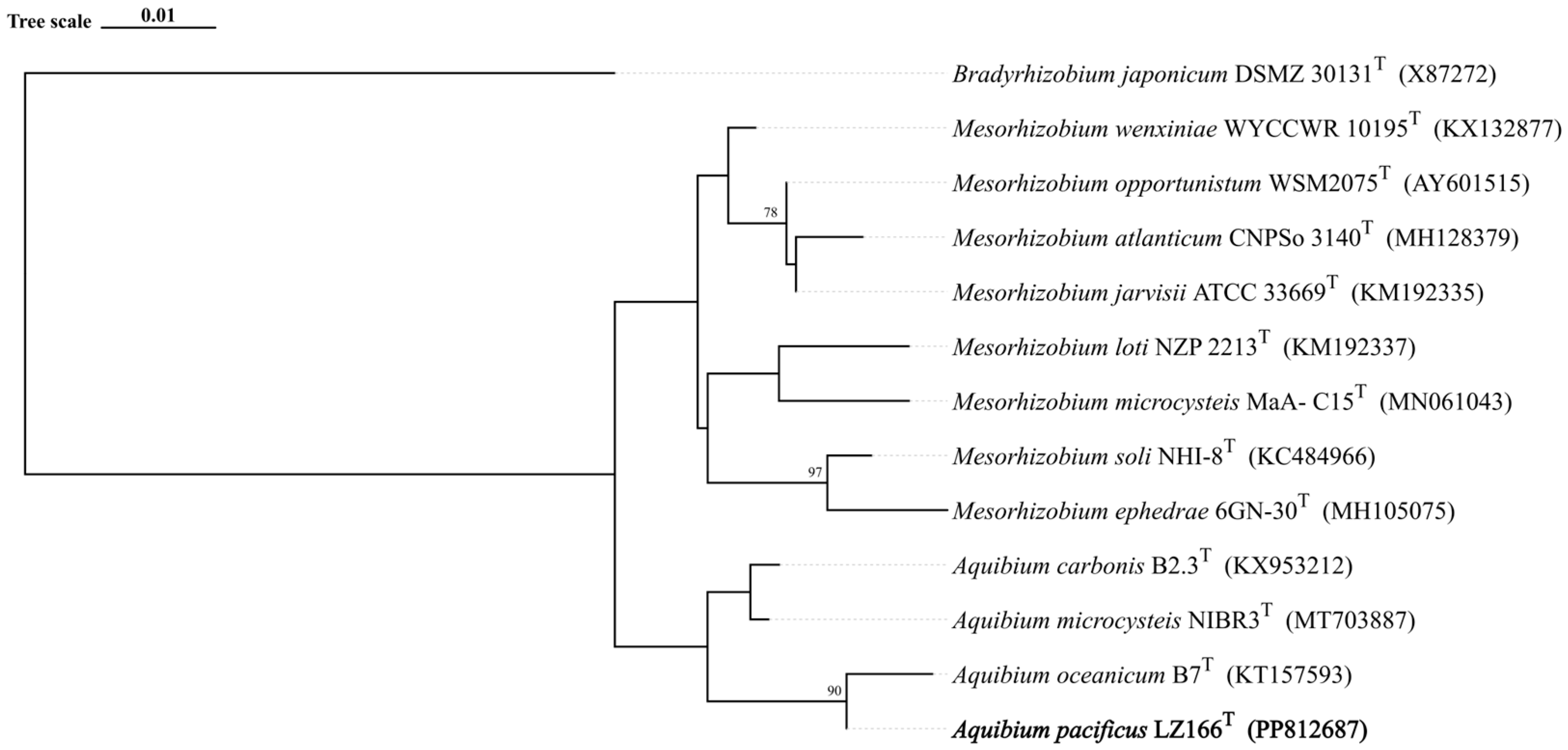 Microorganisms 12 01584 g001