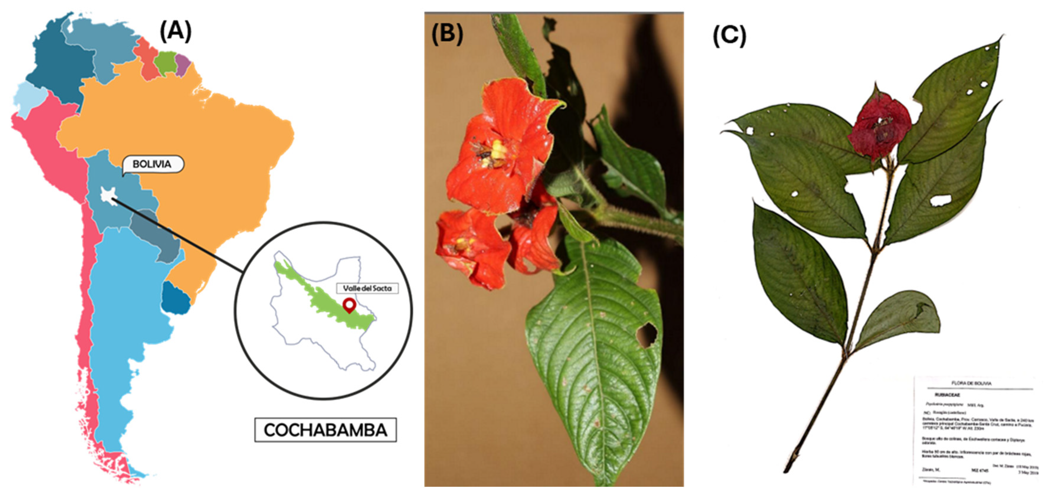 Microorganisms 12 01590 g001