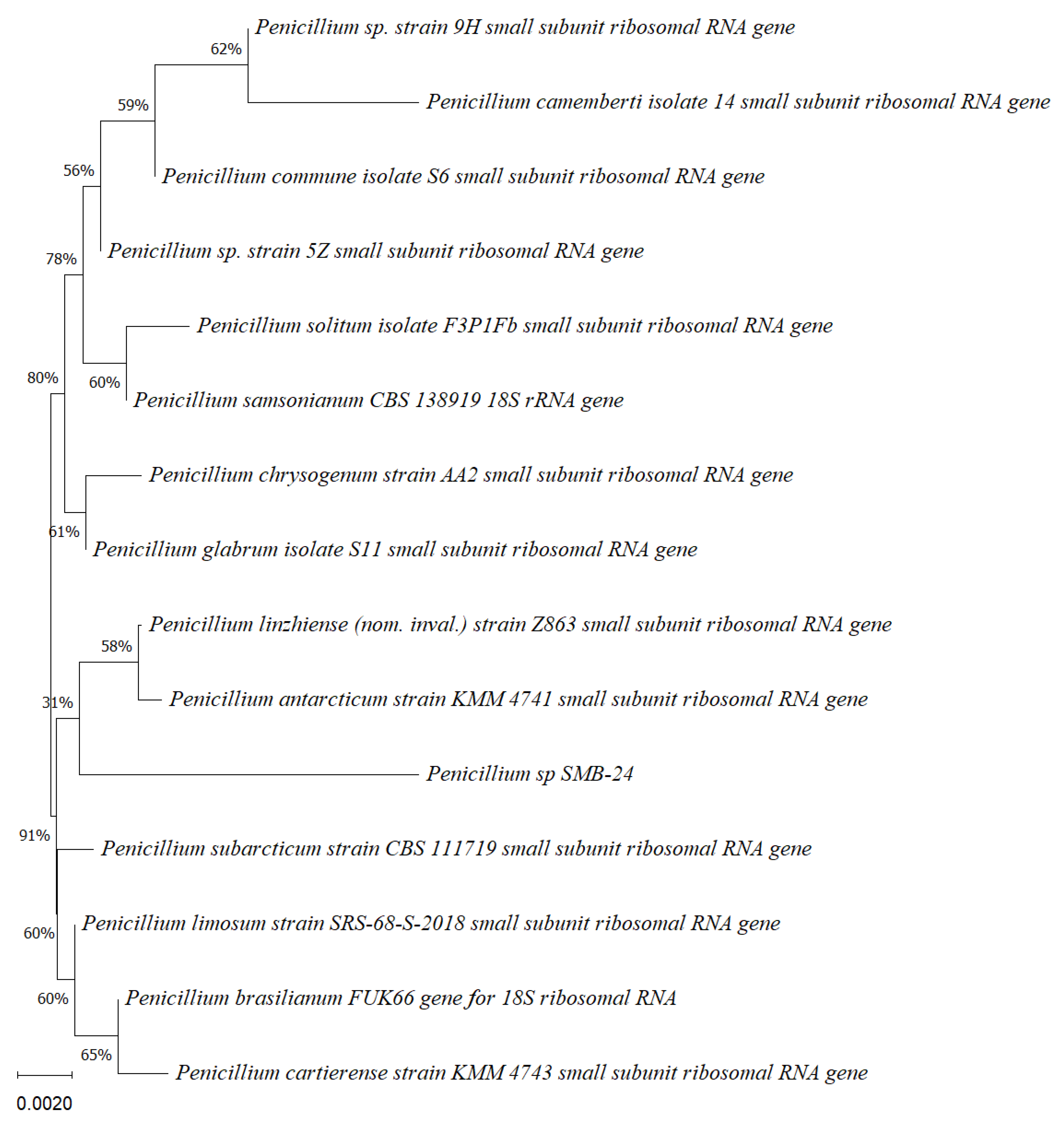 Microorganisms 12 01590 g003