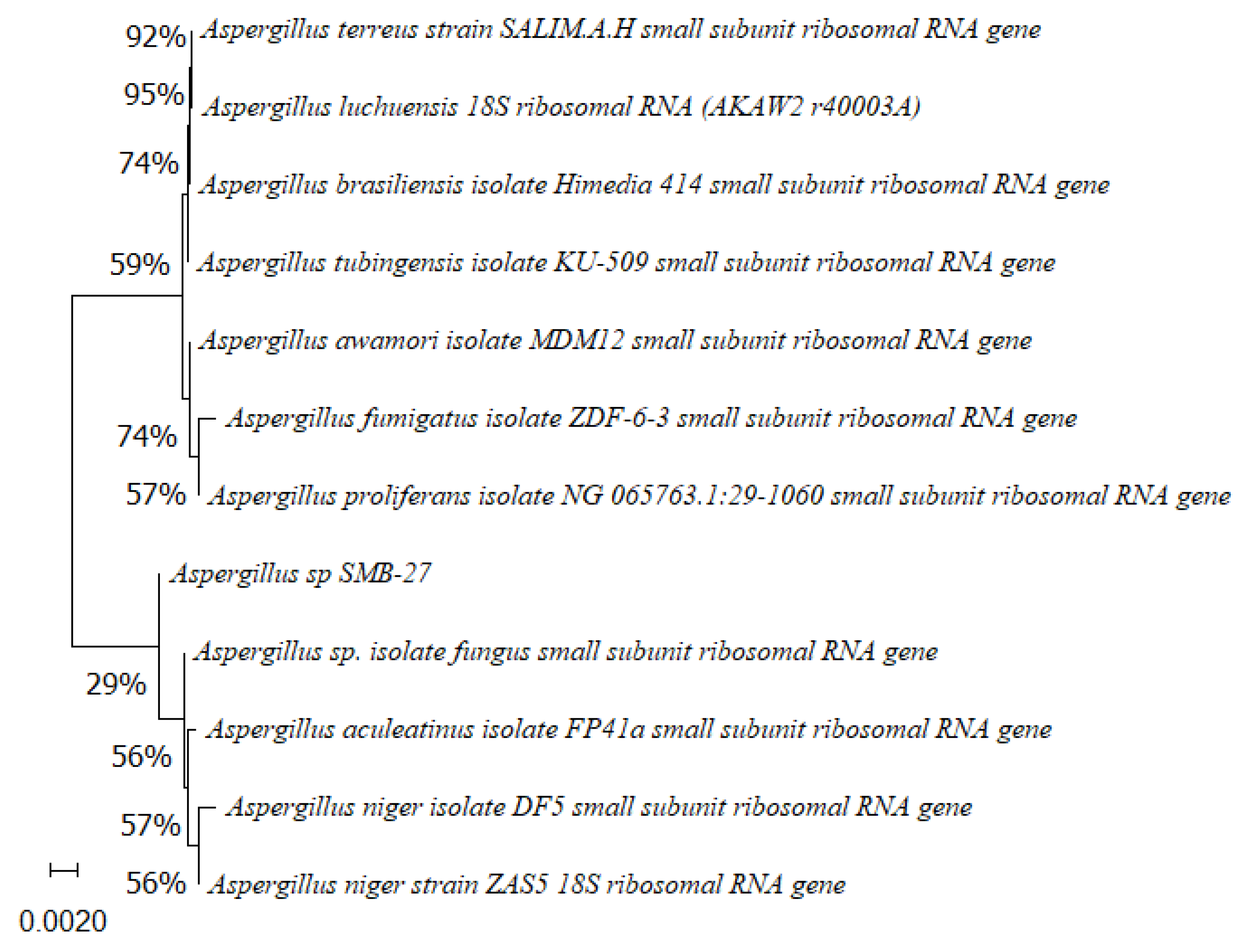 Microorganisms 12 01590 g006