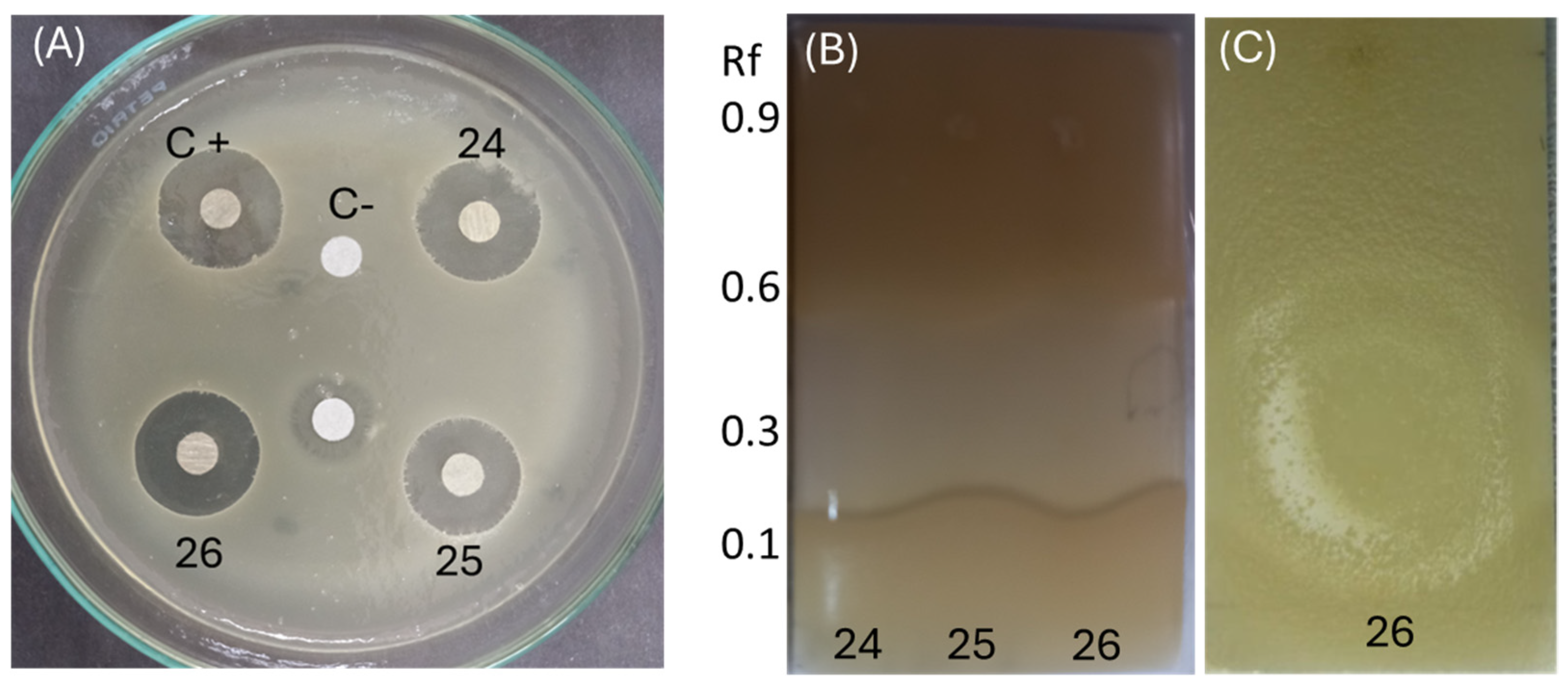 Microorganisms 12 01590 g011