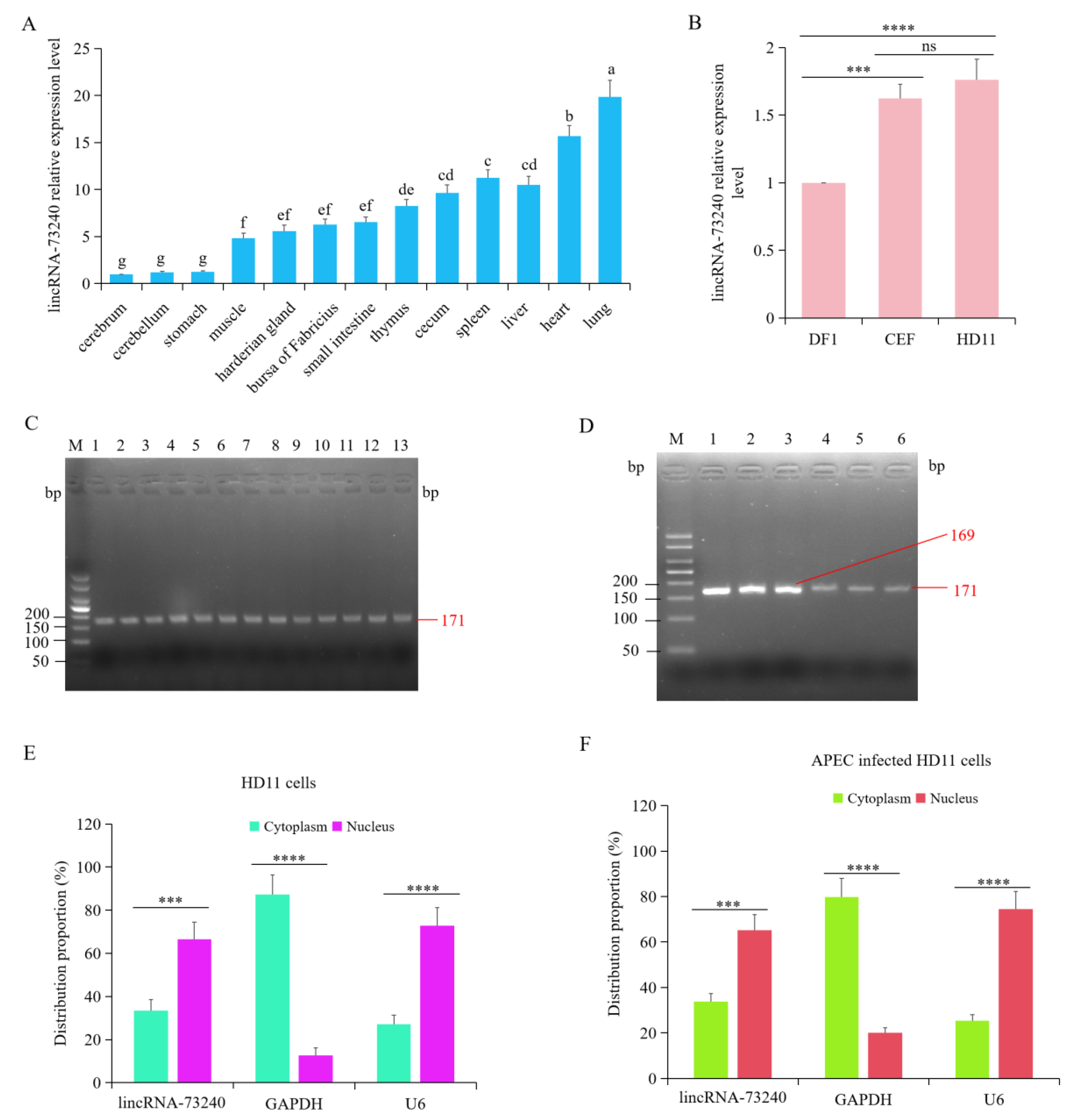 Microorganisms 12 01594 g003
