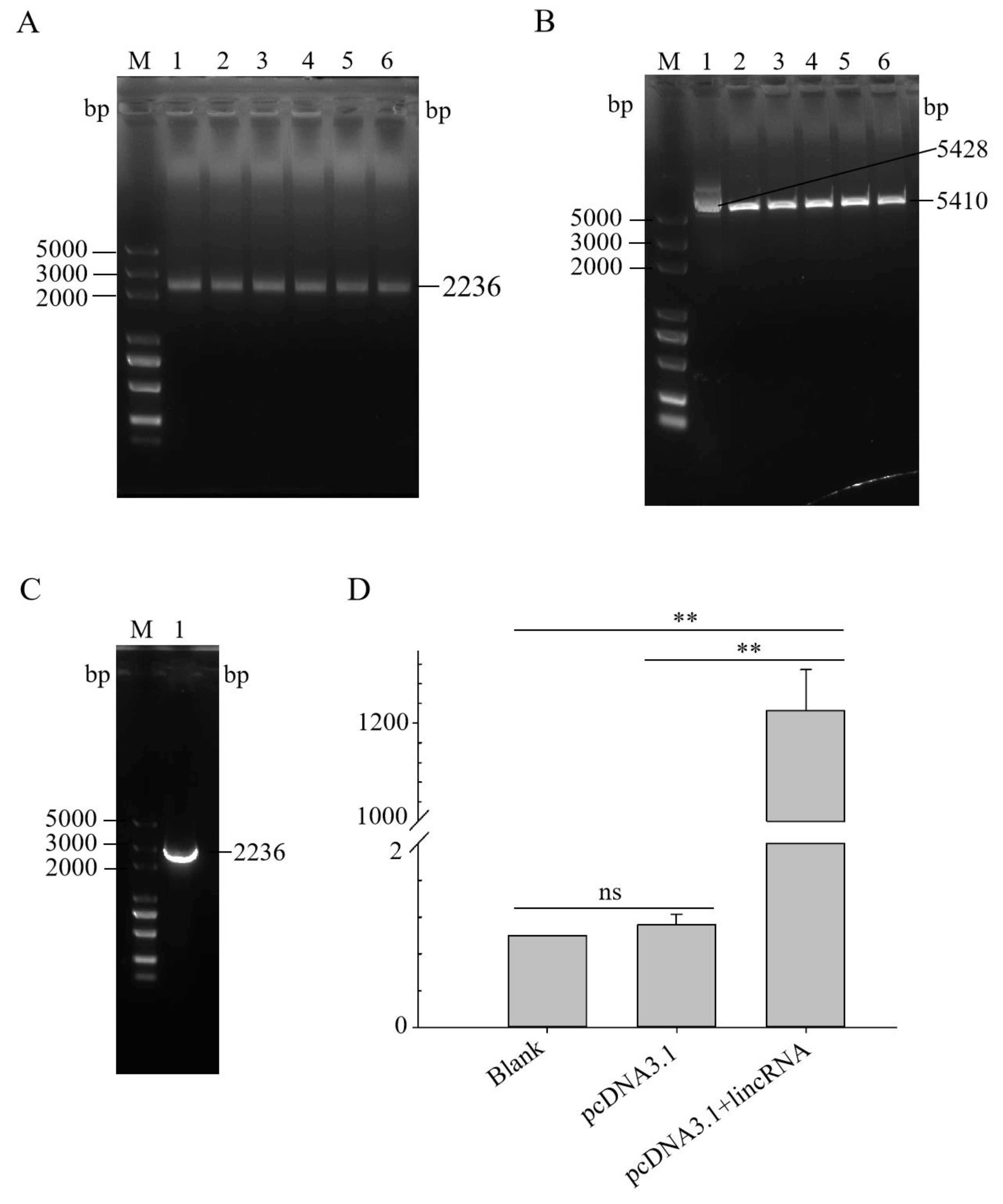 Microorganisms 12 01594 g004