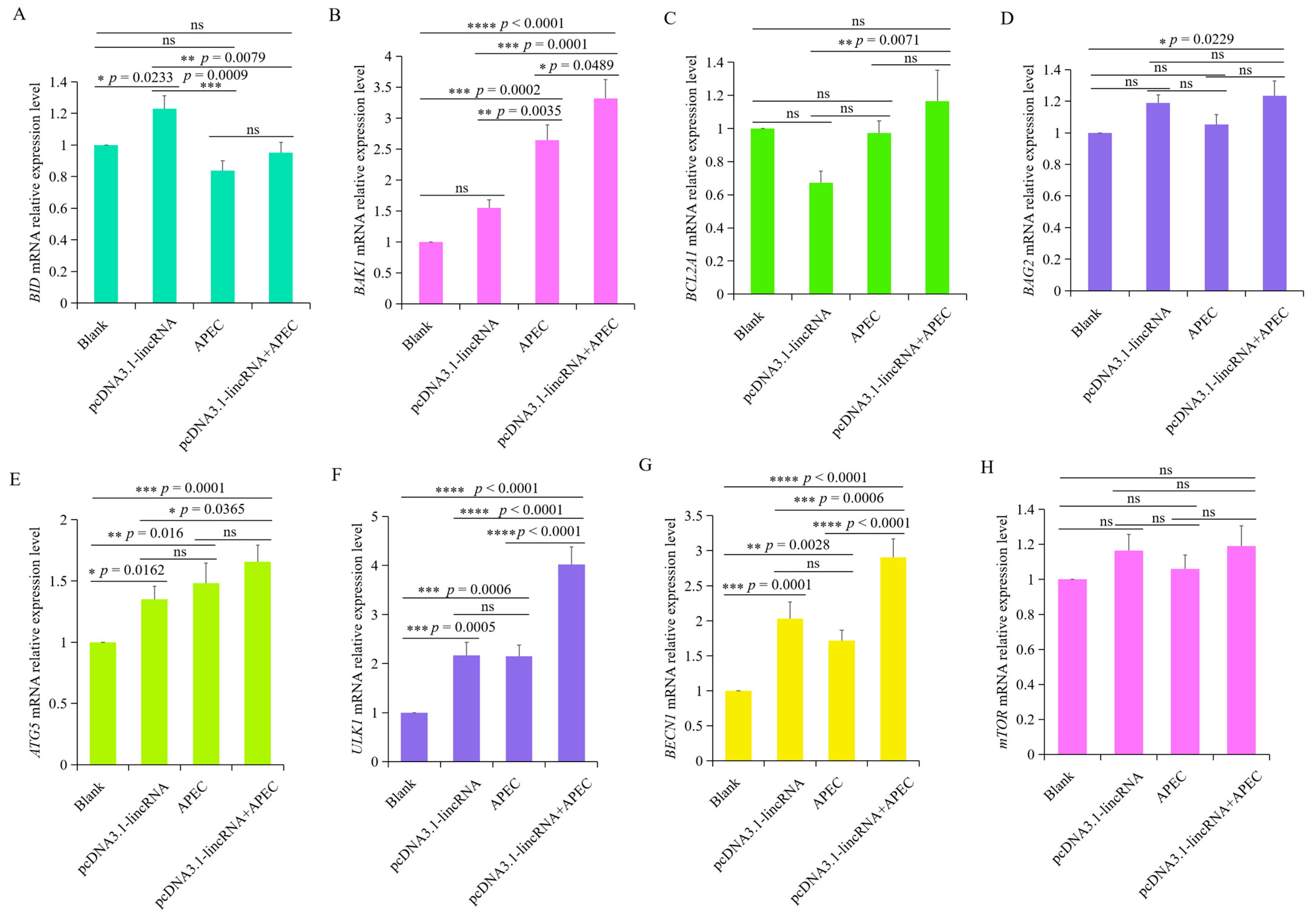 Microorganisms 12 01594 g006