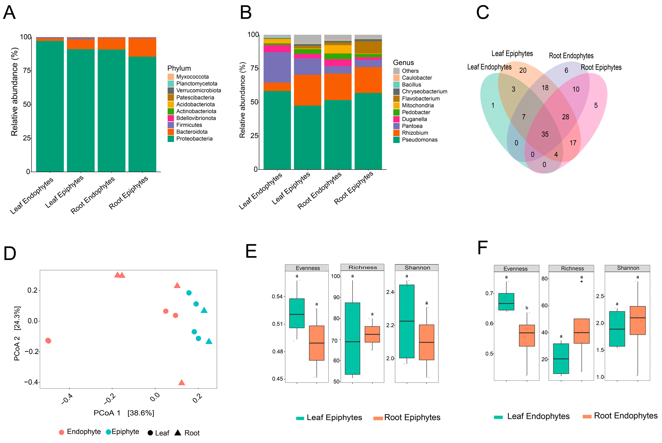 Microorganisms 12 01595 g001