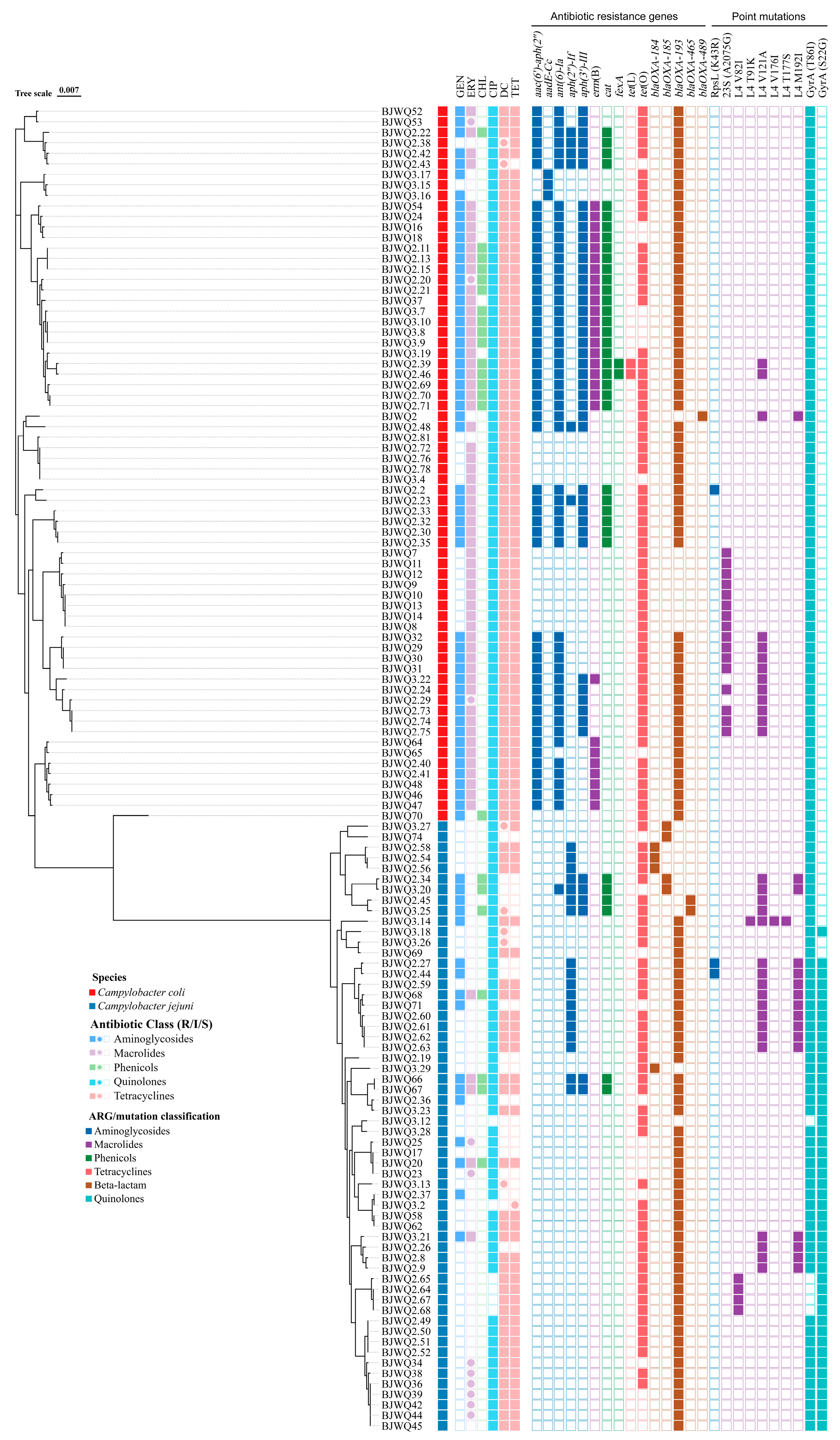 Microorganisms 12 01601 g003
