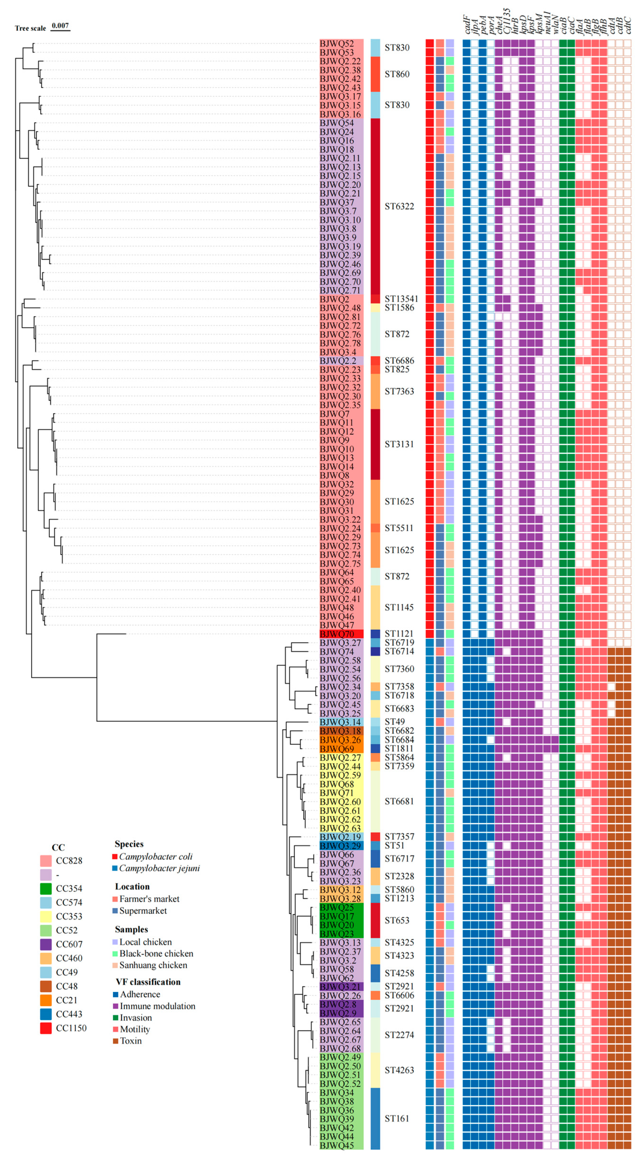 Microorganisms 12 01601 g004