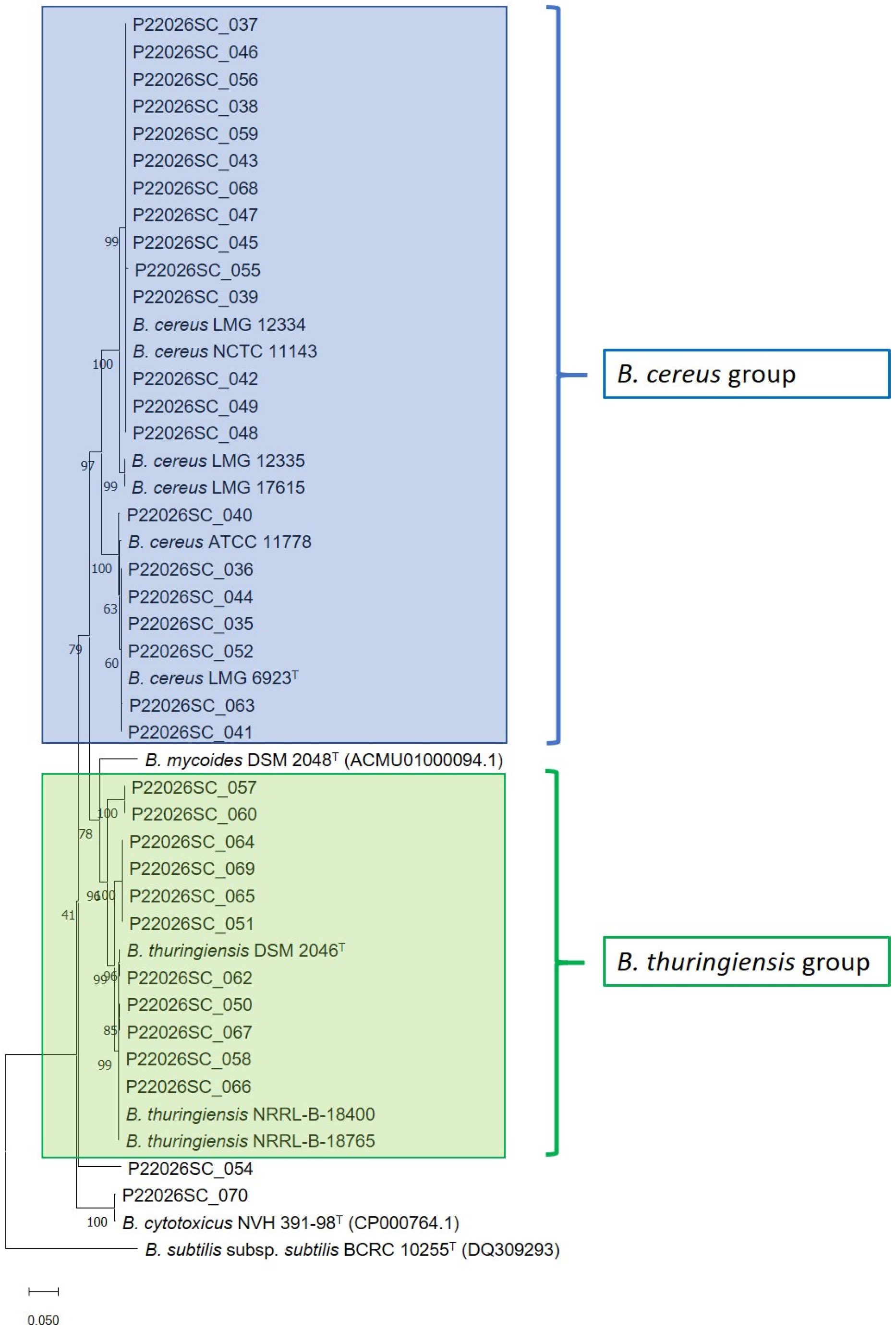 Microorganisms 12 01603 g001
