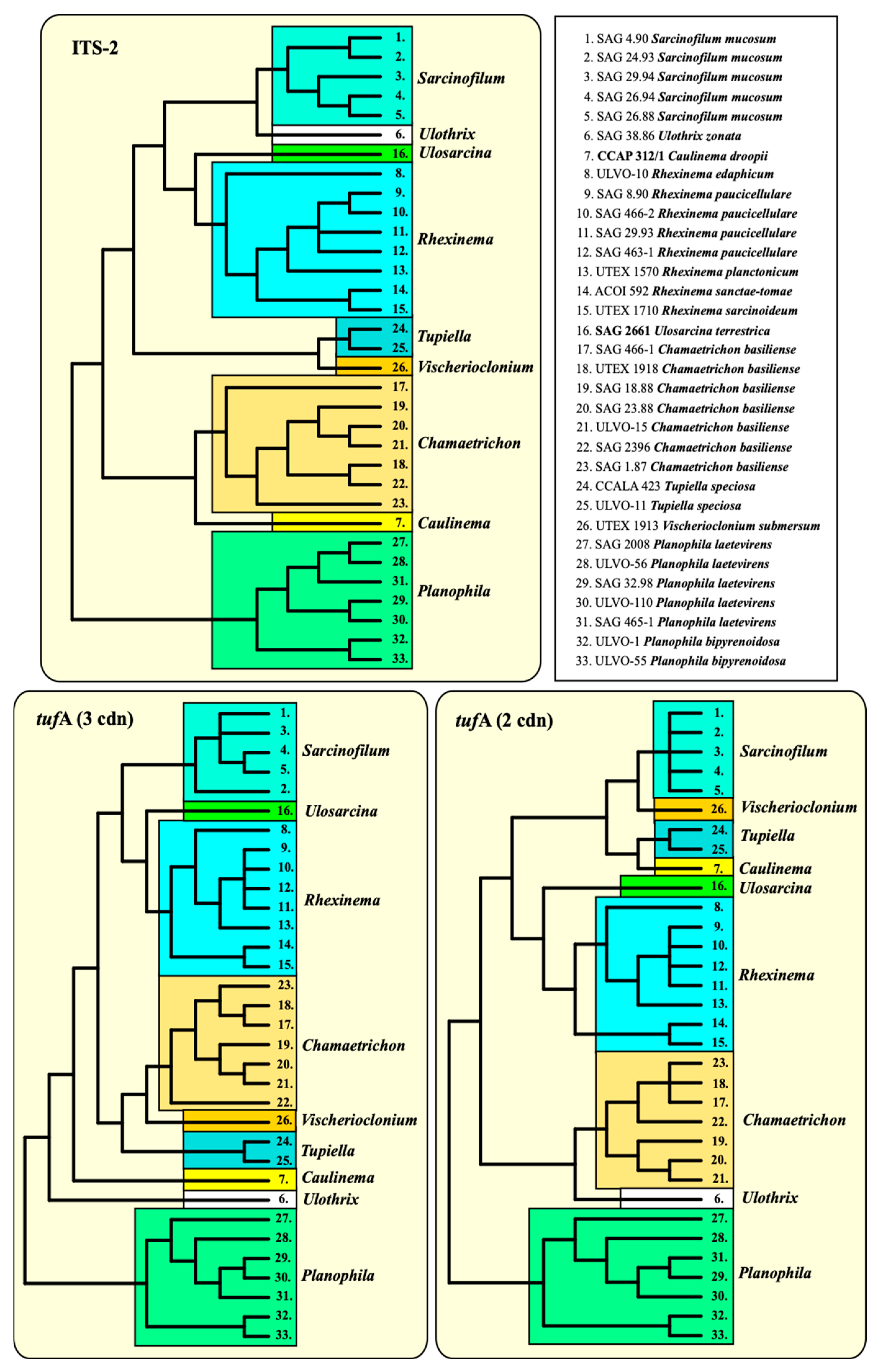 Microorganisms 12 01604 g009