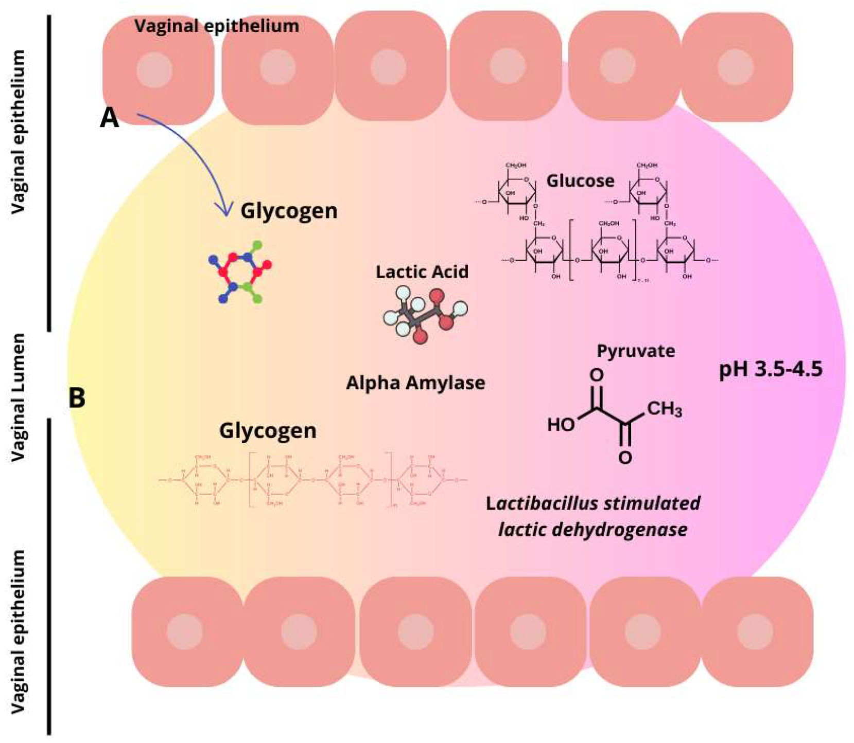 Microorganisms 12 01614 g002