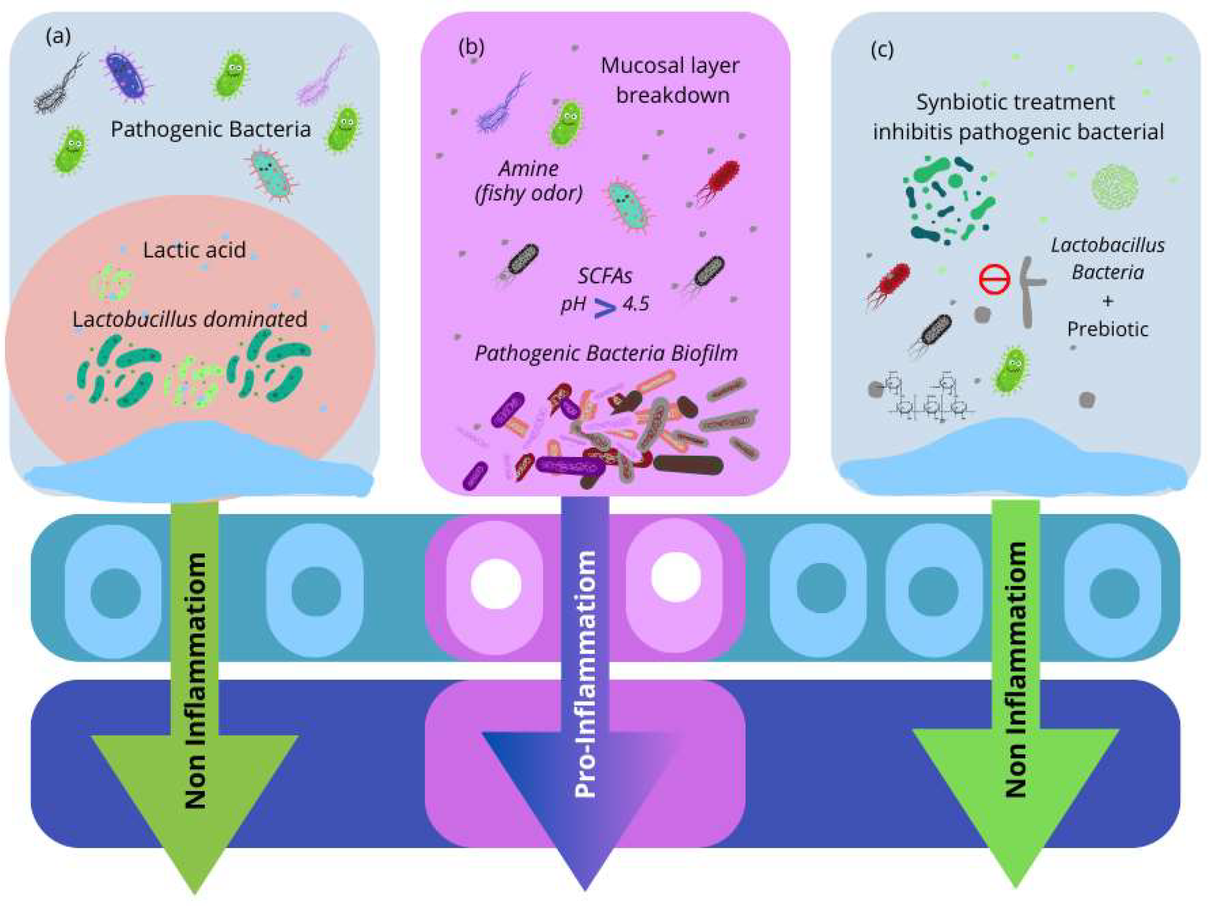 Microorganisms 12 01614 g003