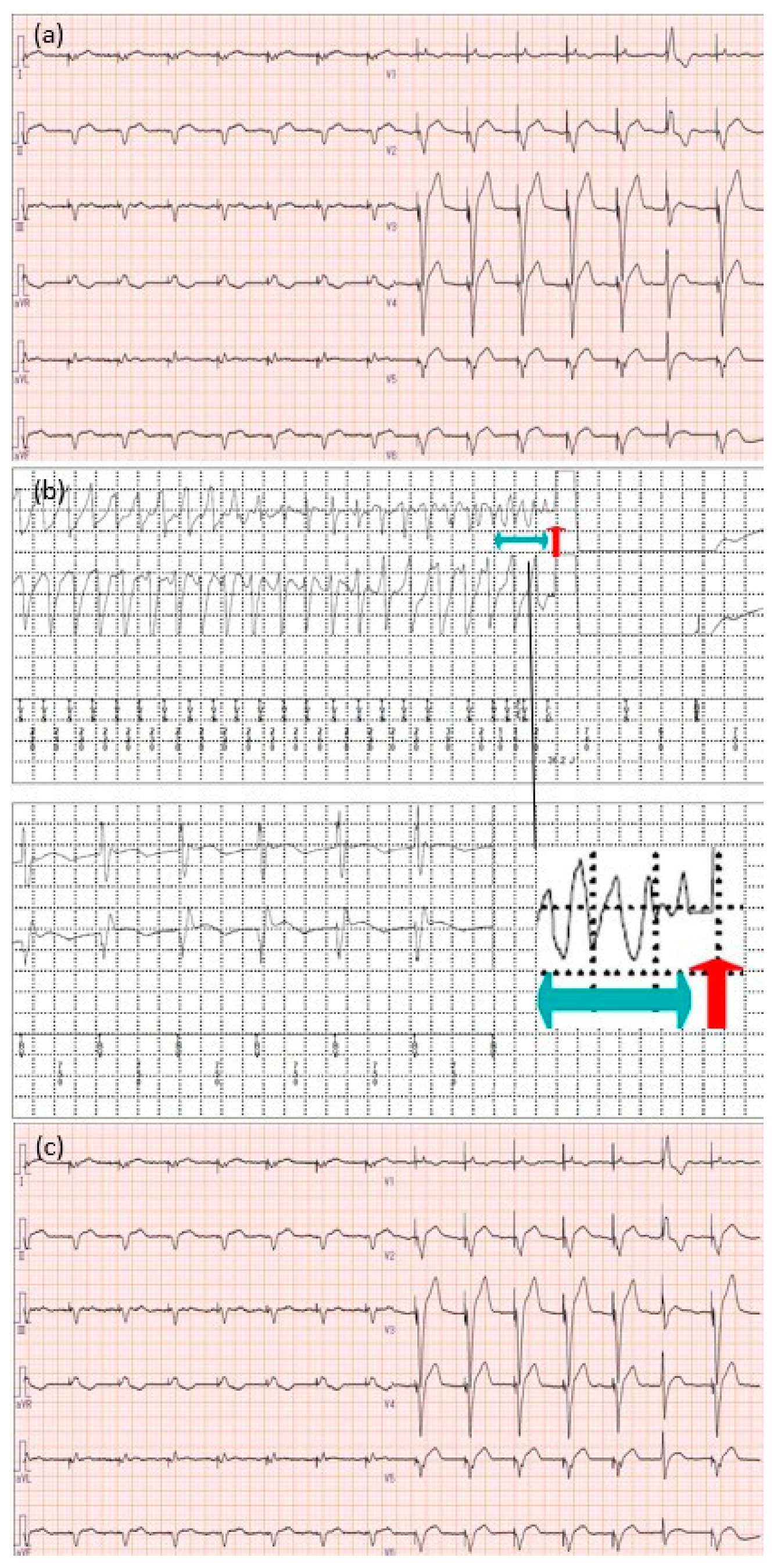 Microorganisms 12 01619 g002