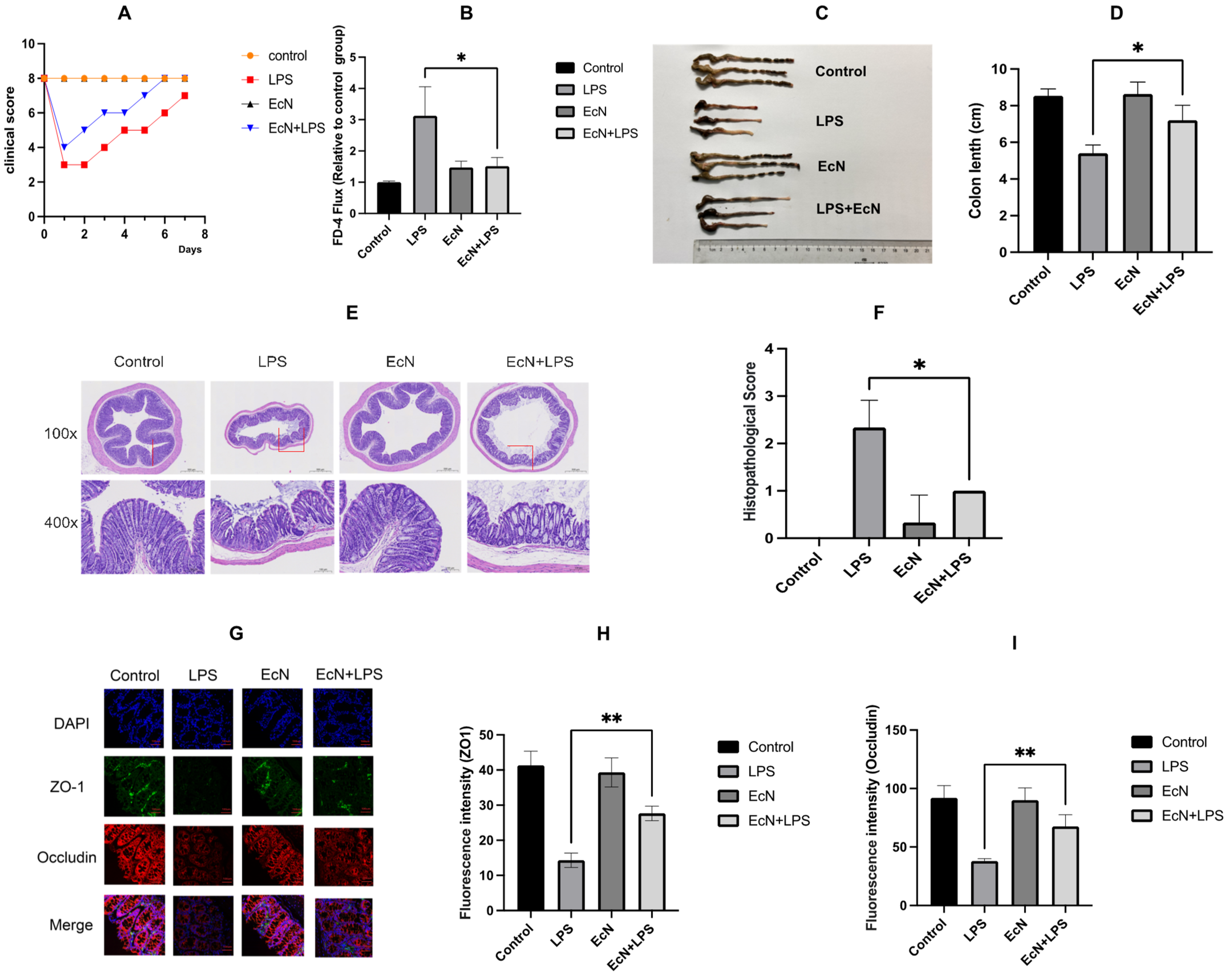 Microorganisms 12 01622 g002