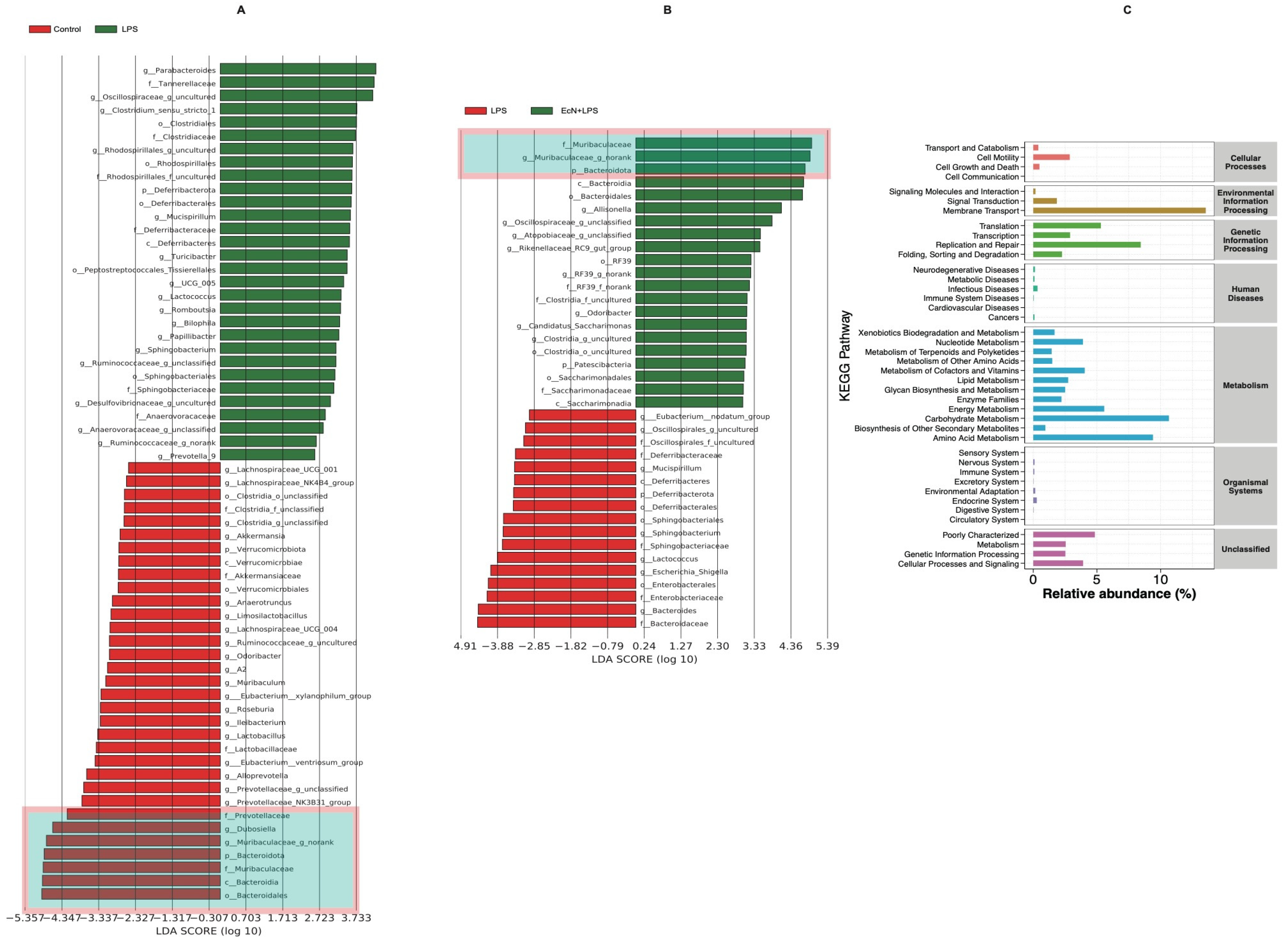 Microorganisms 12 01622 g004