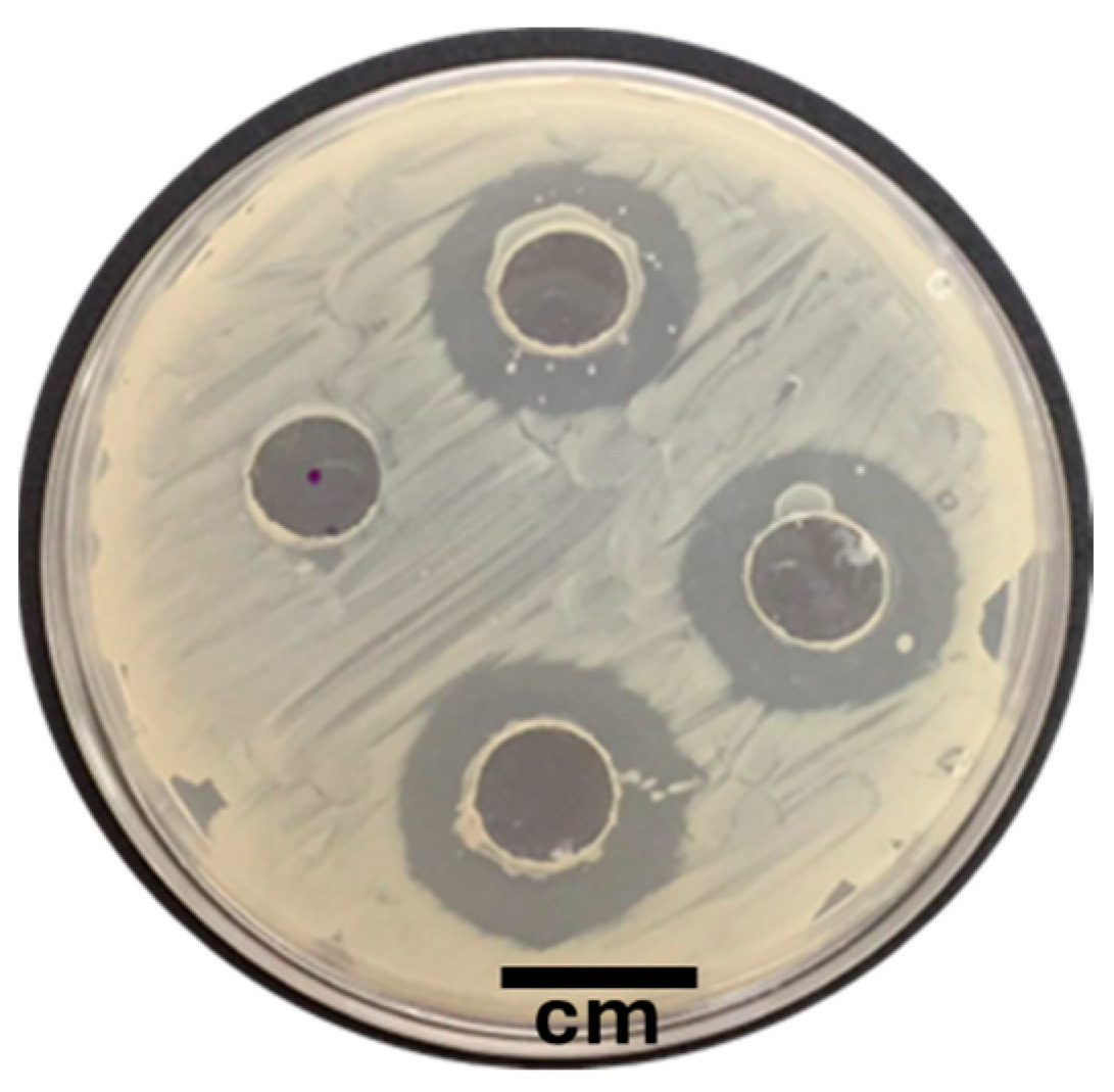 Microorganisms 12 01623 g001