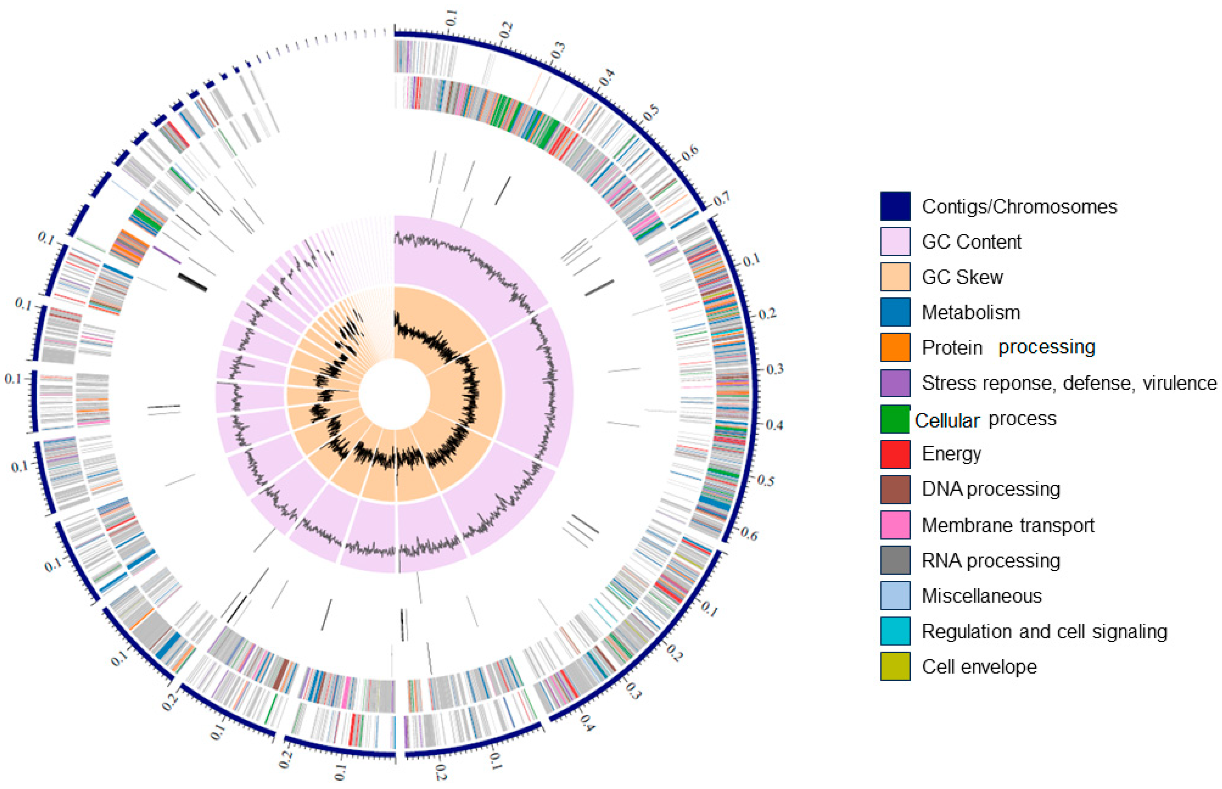 Microorganisms 12 01623 g007
