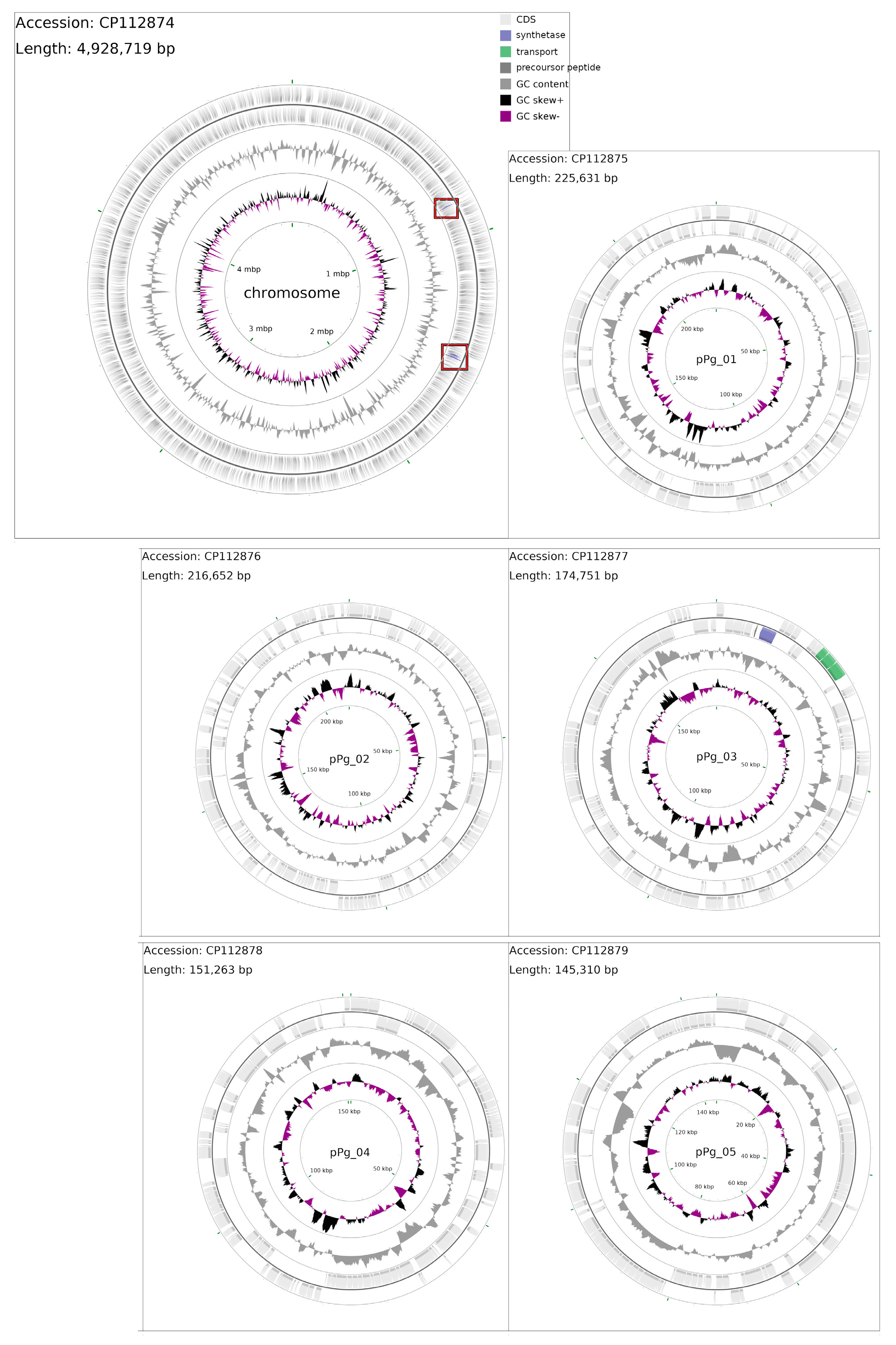 Microorganisms 12 01628 g001