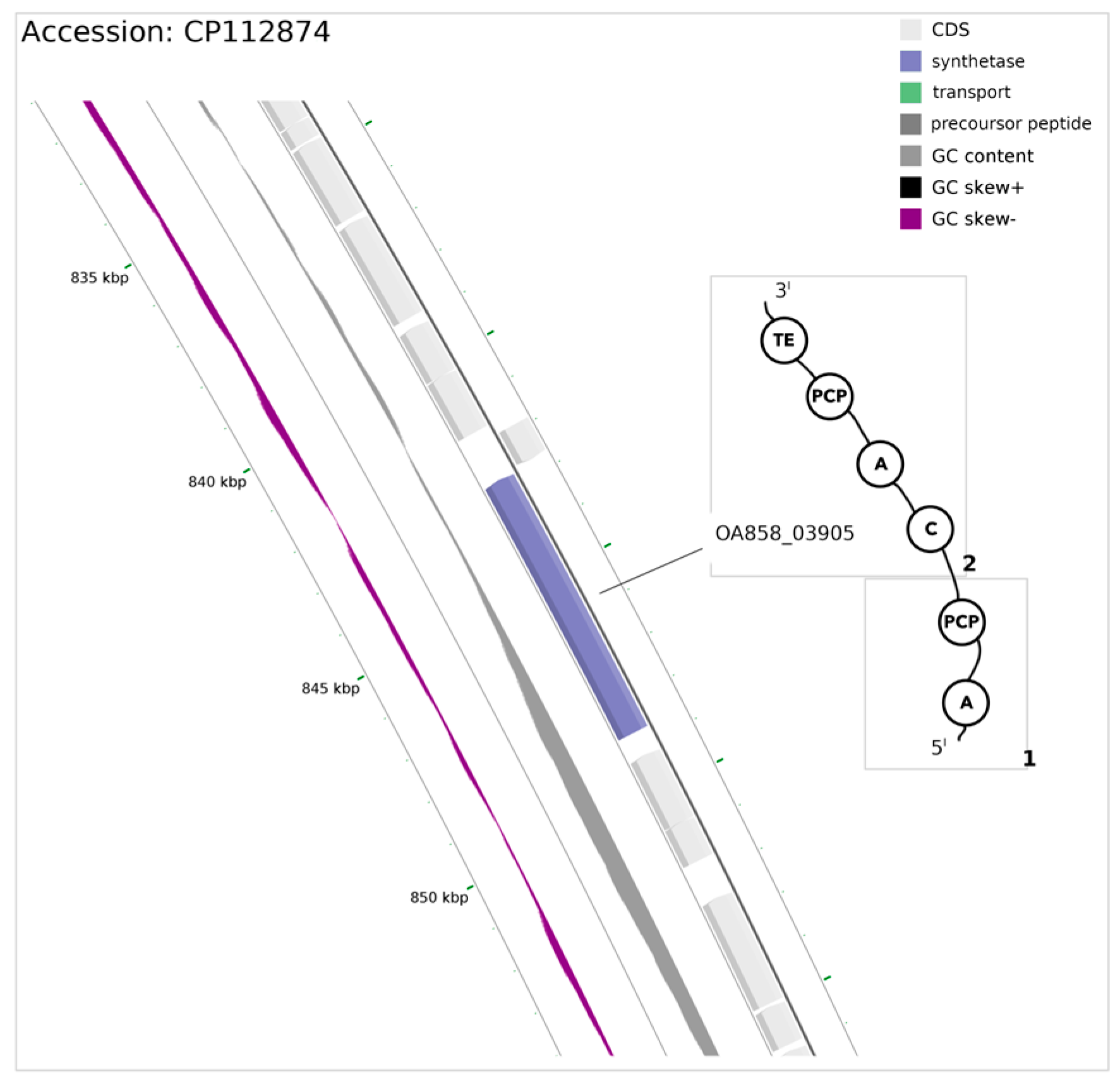 Microorganisms 12 01628 g002