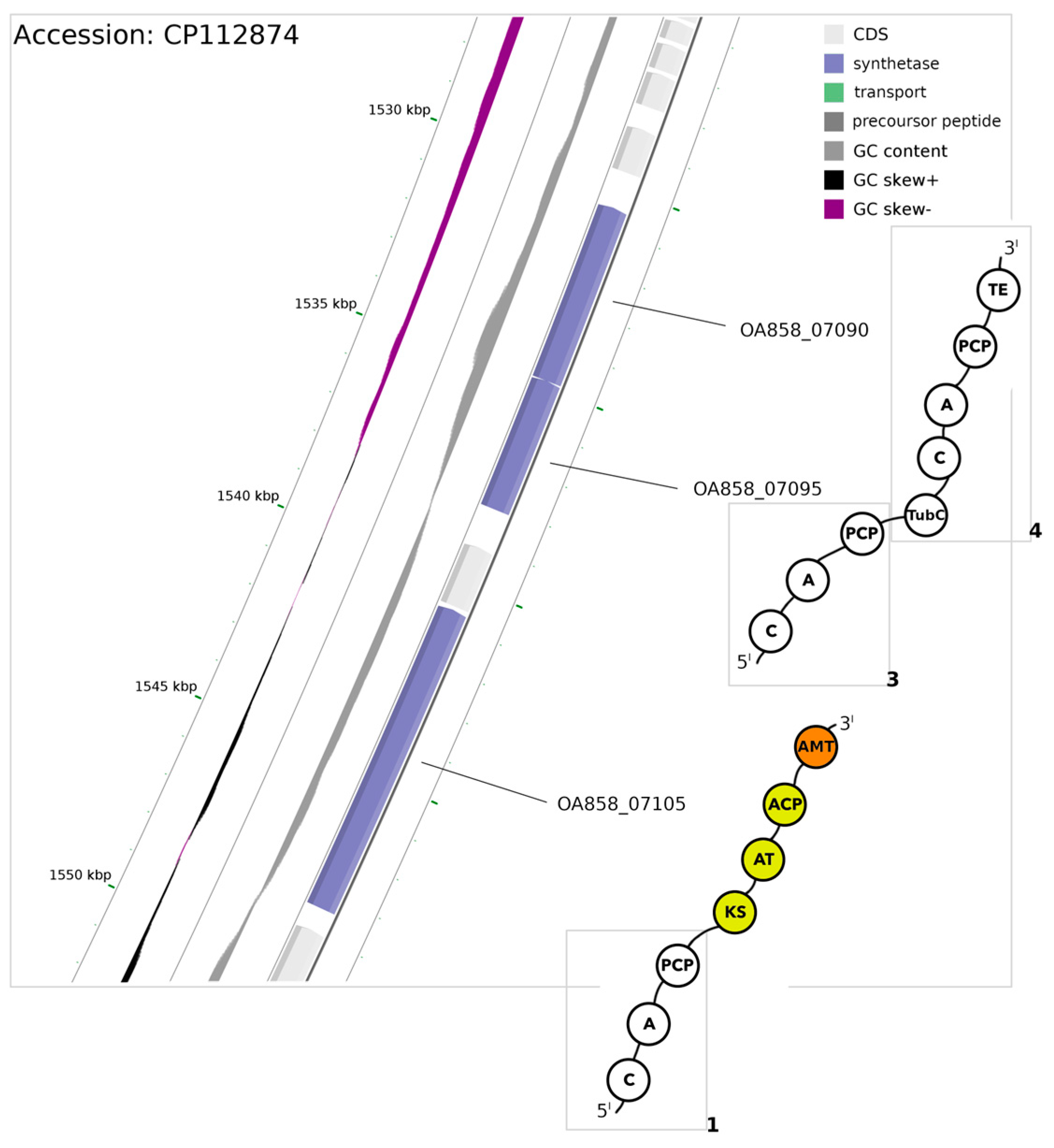 Microorganisms 12 01628 g004