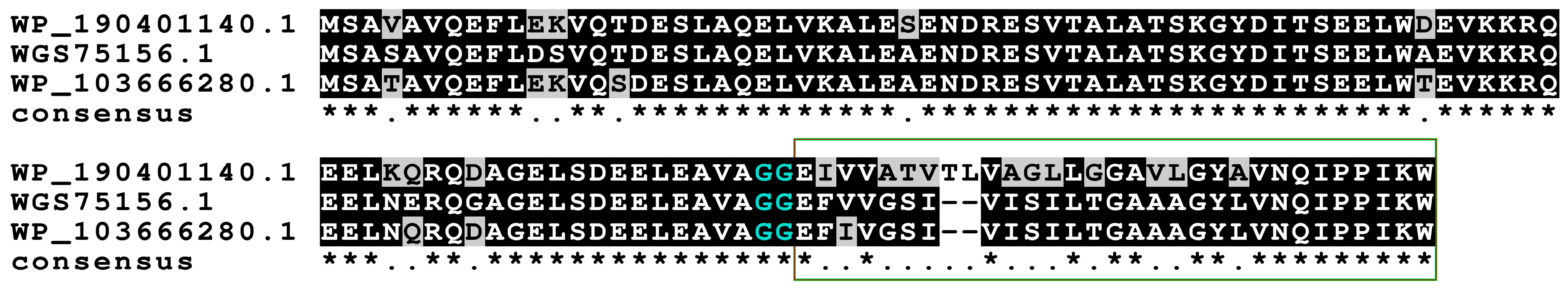 Microorganisms 12 01628 g006