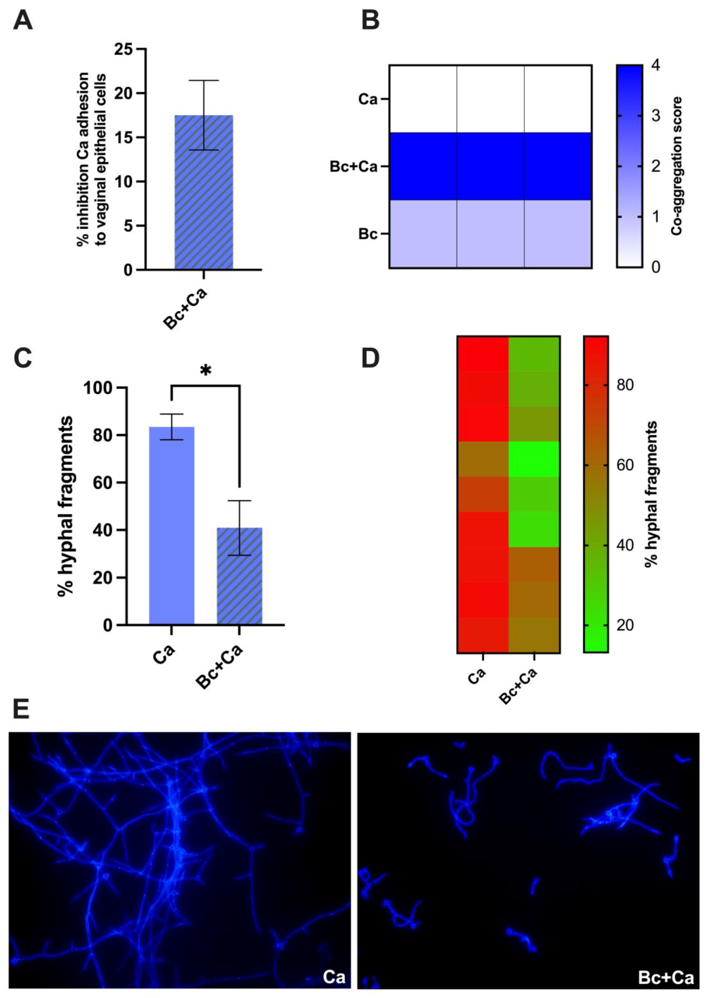 Microorganisms 12 01634 g003