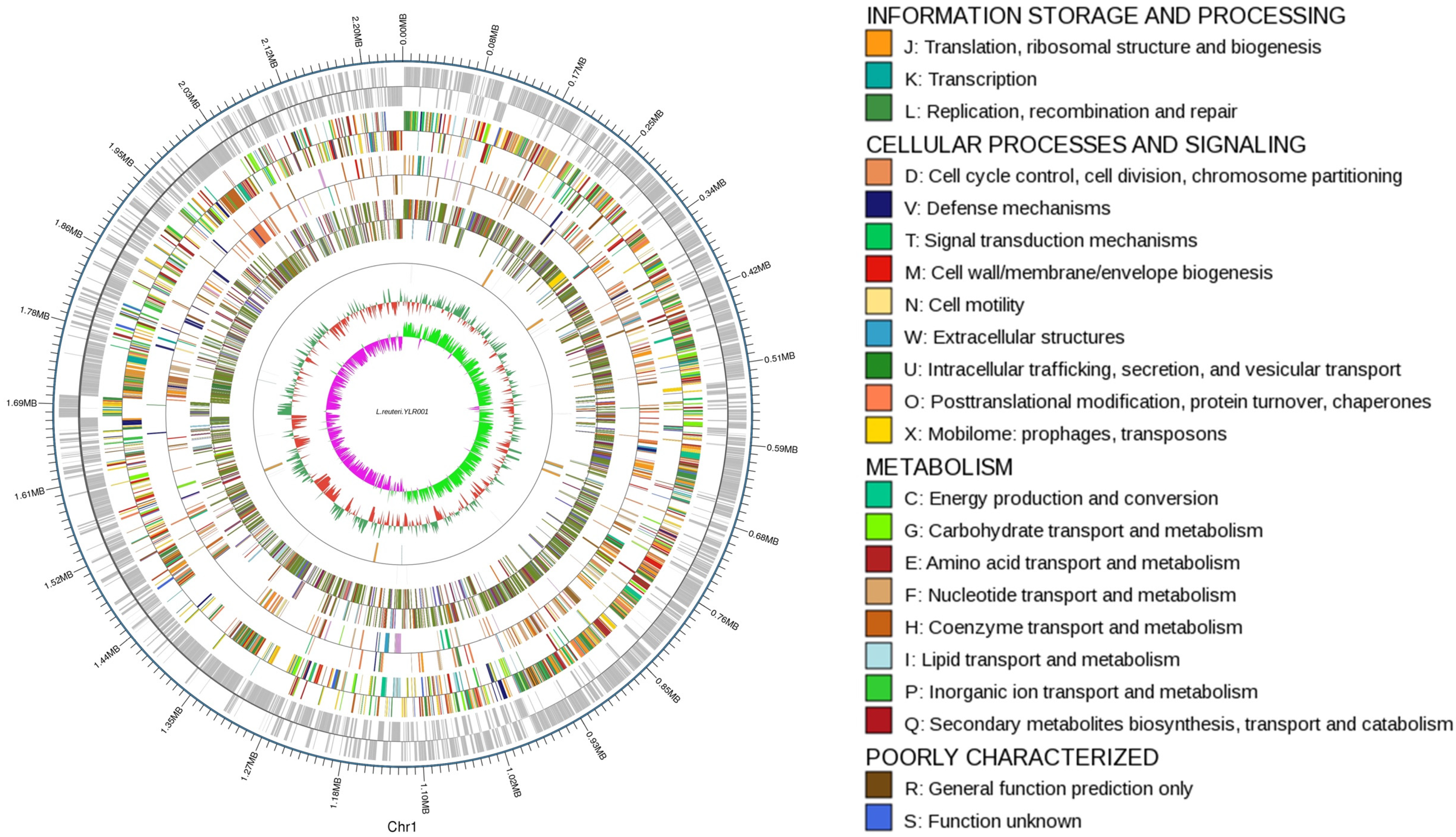 Microorganisms 12 01636 g001