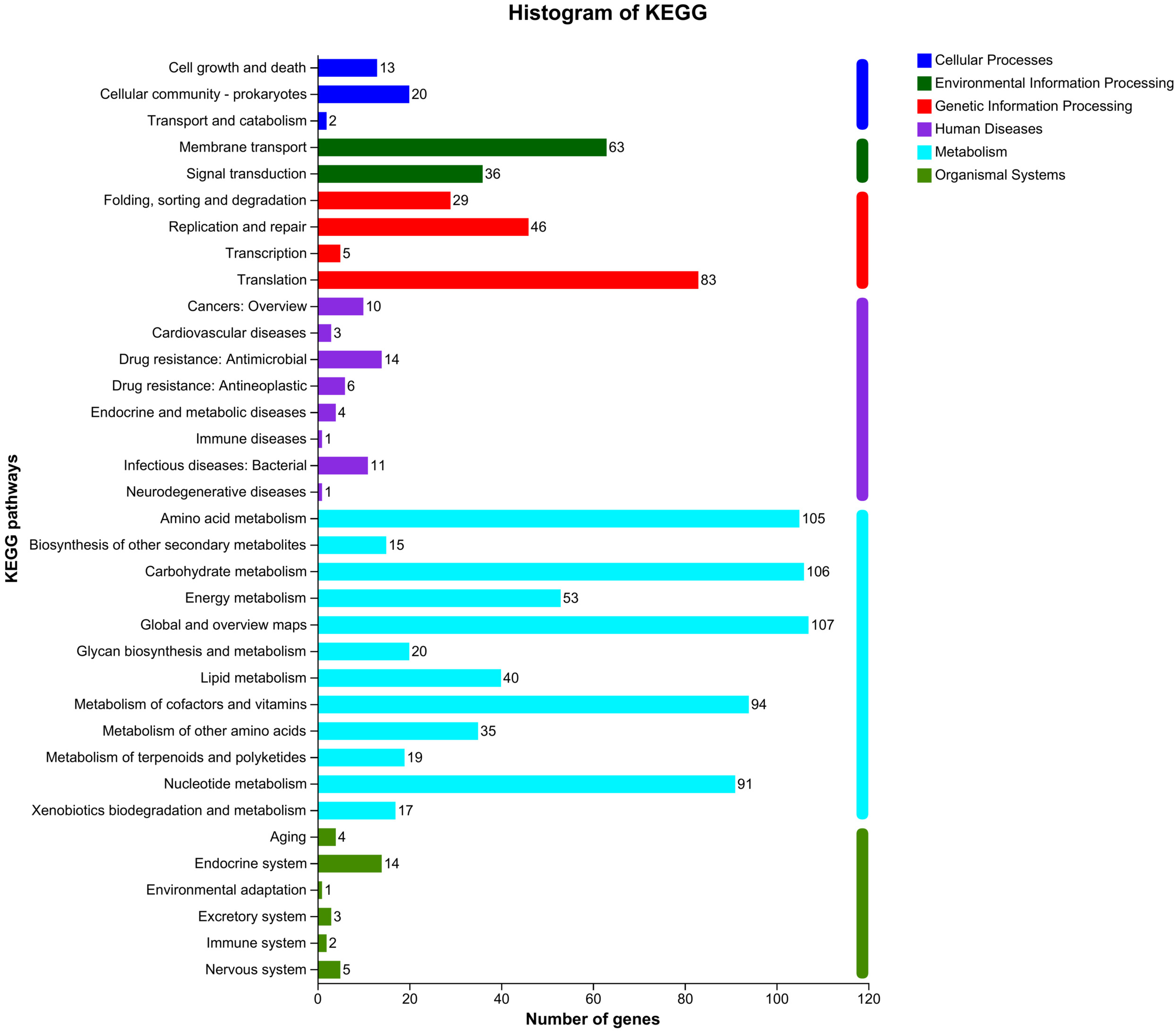 Microorganisms 12 01636 g002