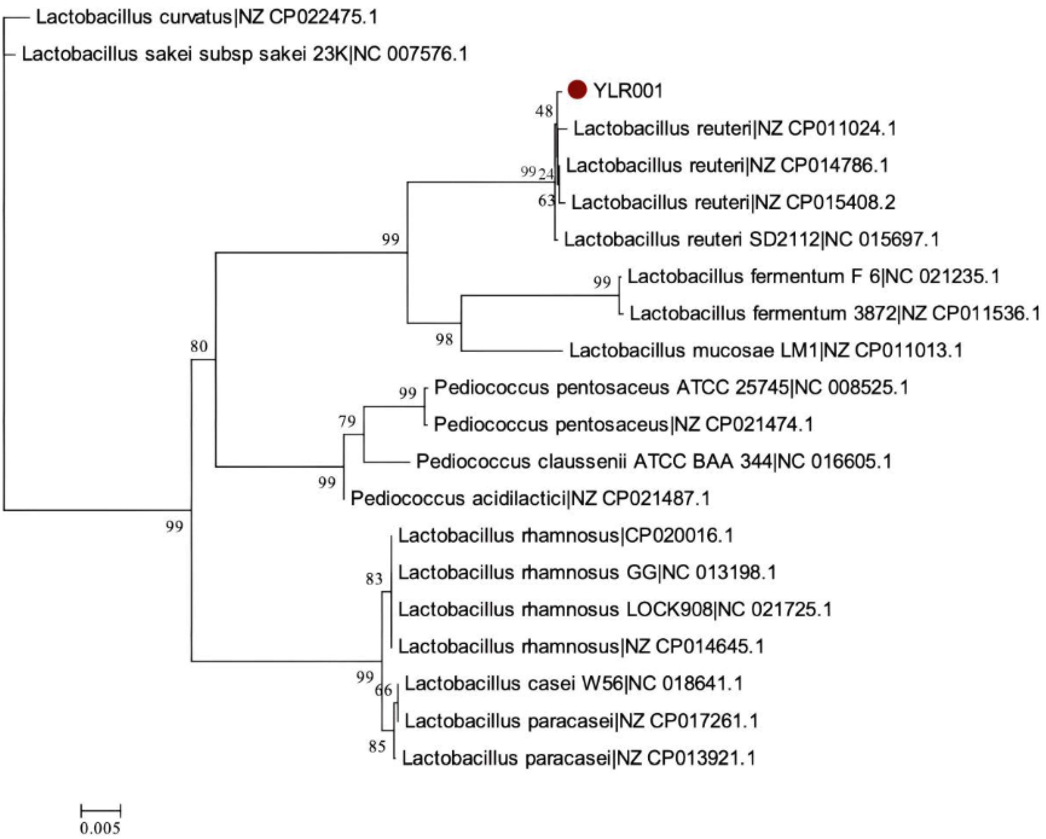 Microorganisms 12 01636 g004