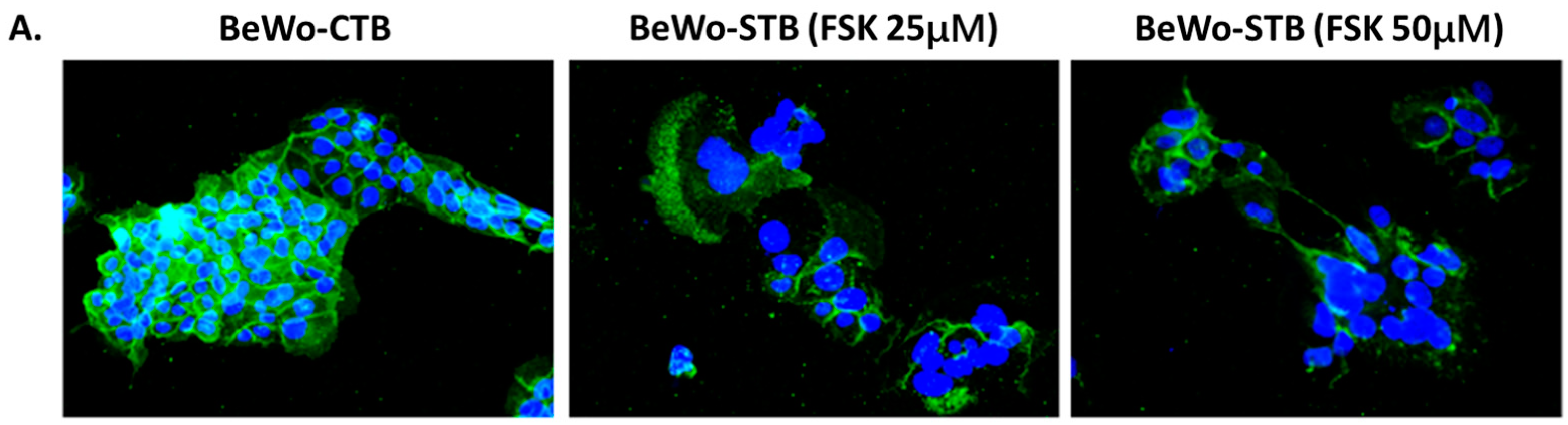 Microorganisms 12 01640 g001a