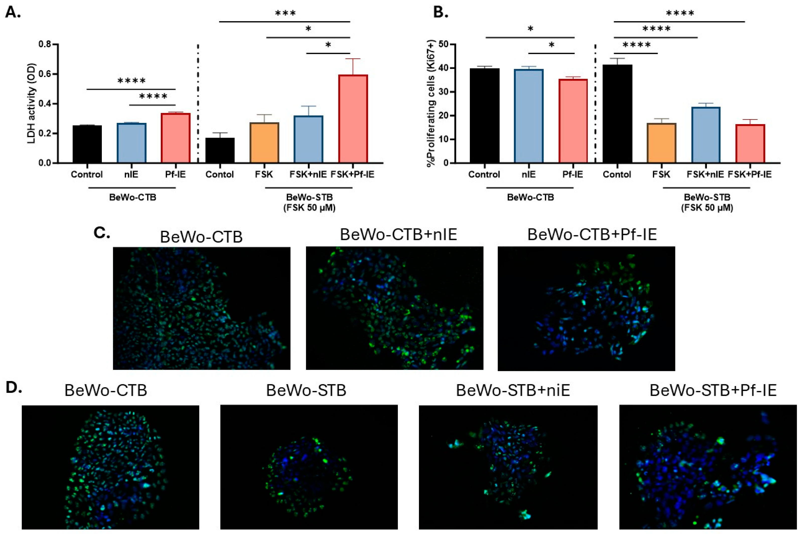 Microorganisms 12 01640 g002