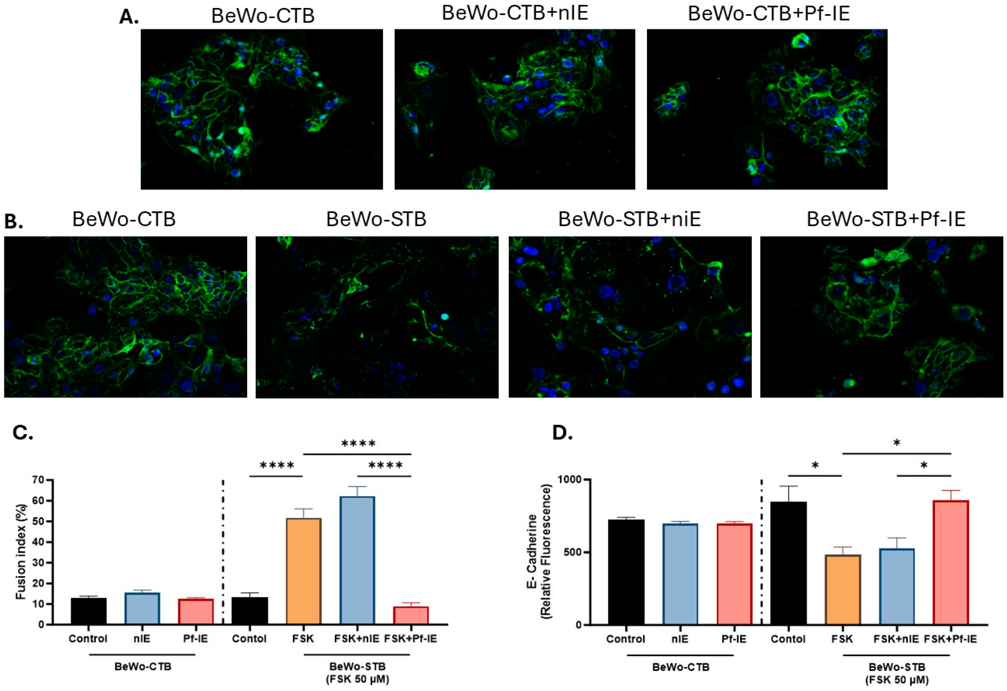 Microorganisms 12 01640 g003
