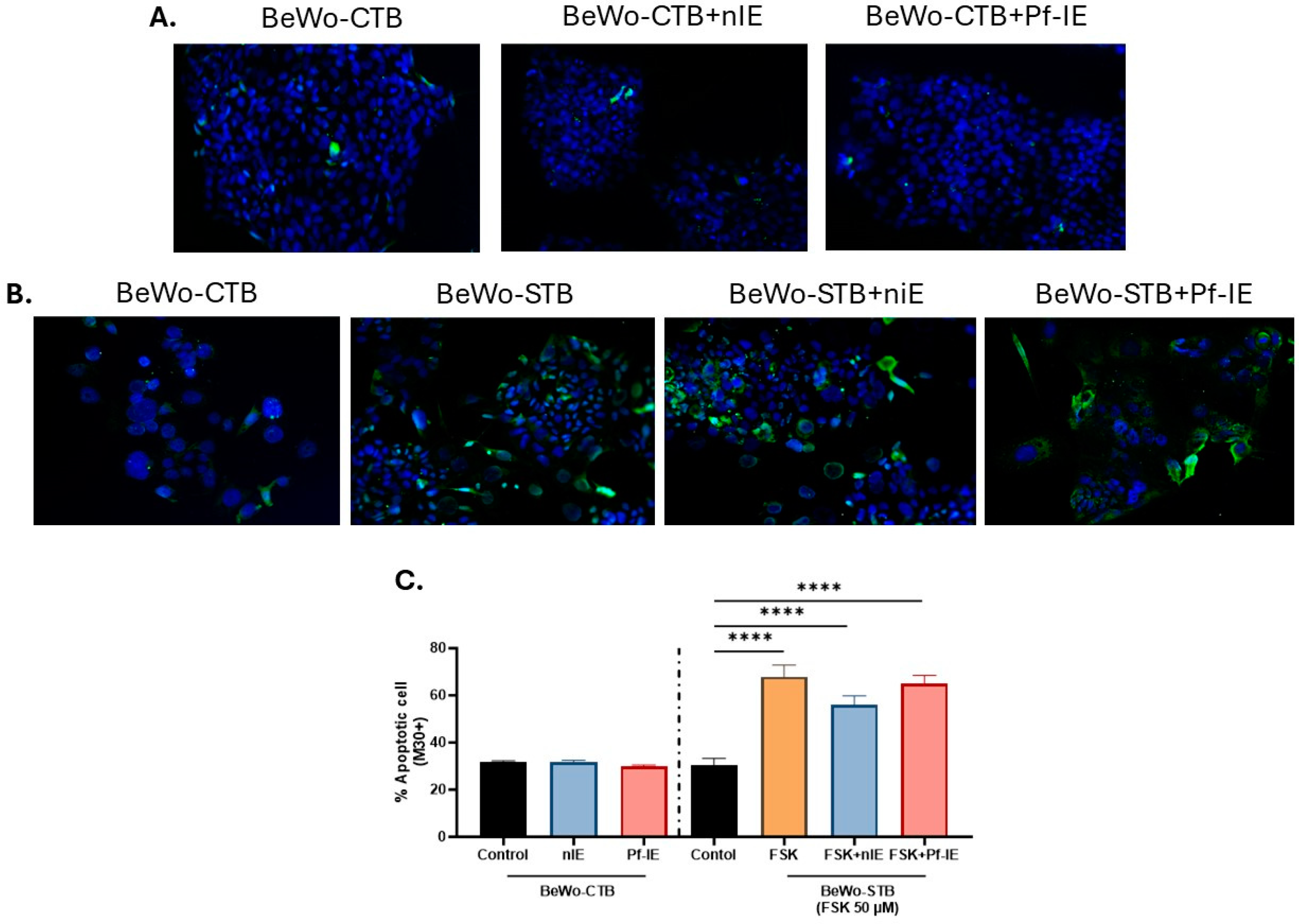 Microorganisms 12 01640 g005