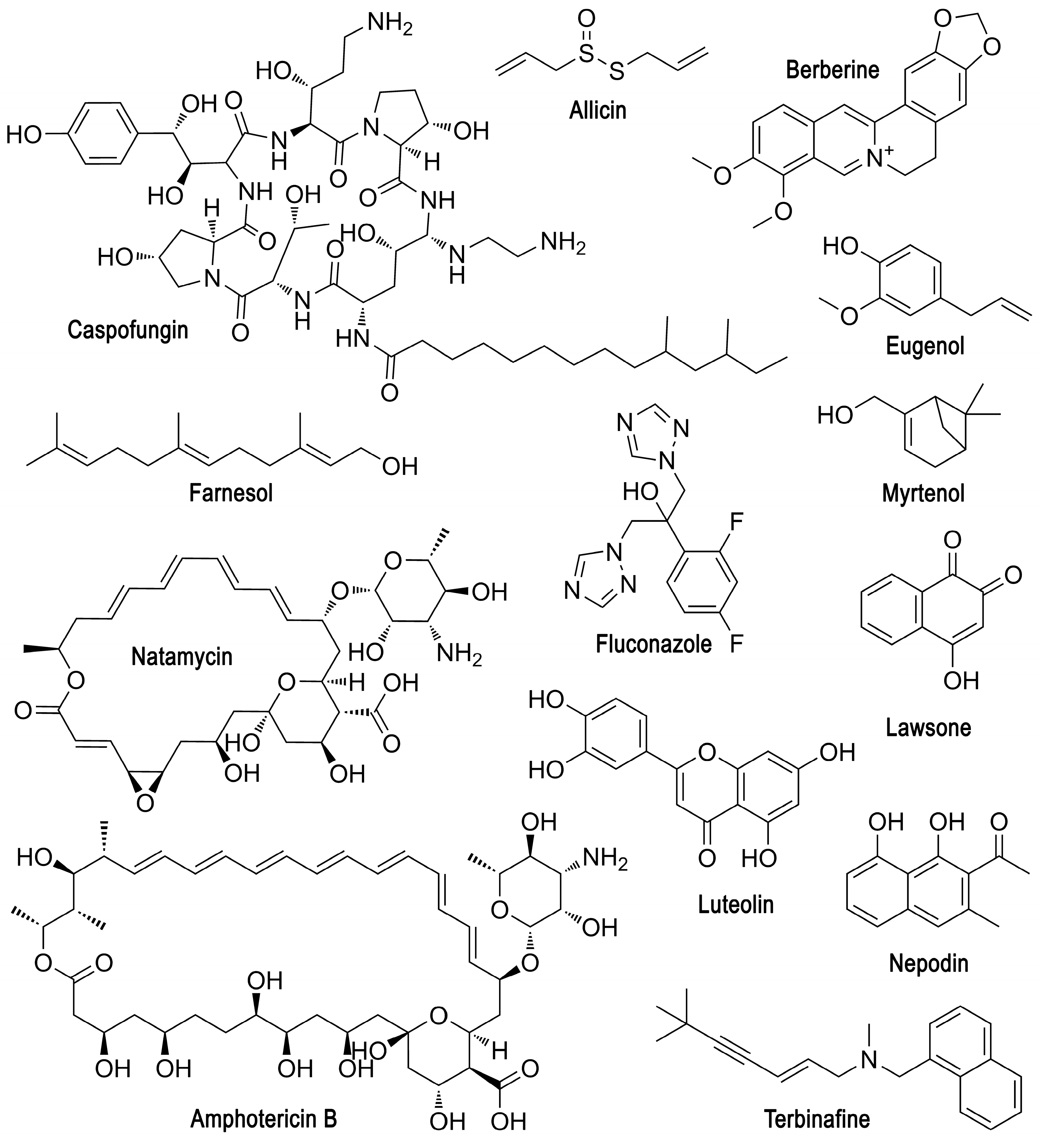 Microorganisms 12 01650 g003 Microorganisms 12 01650 g003