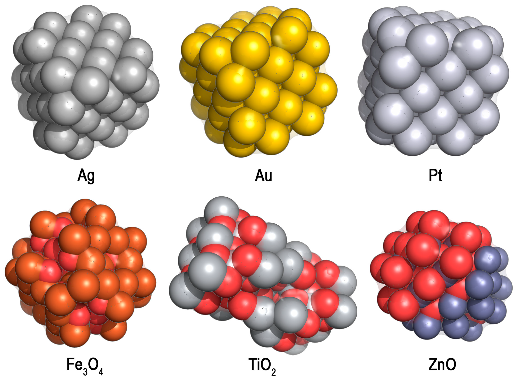 Microorganisms 12 01650 g005 Microorganisms 12 01650 g005